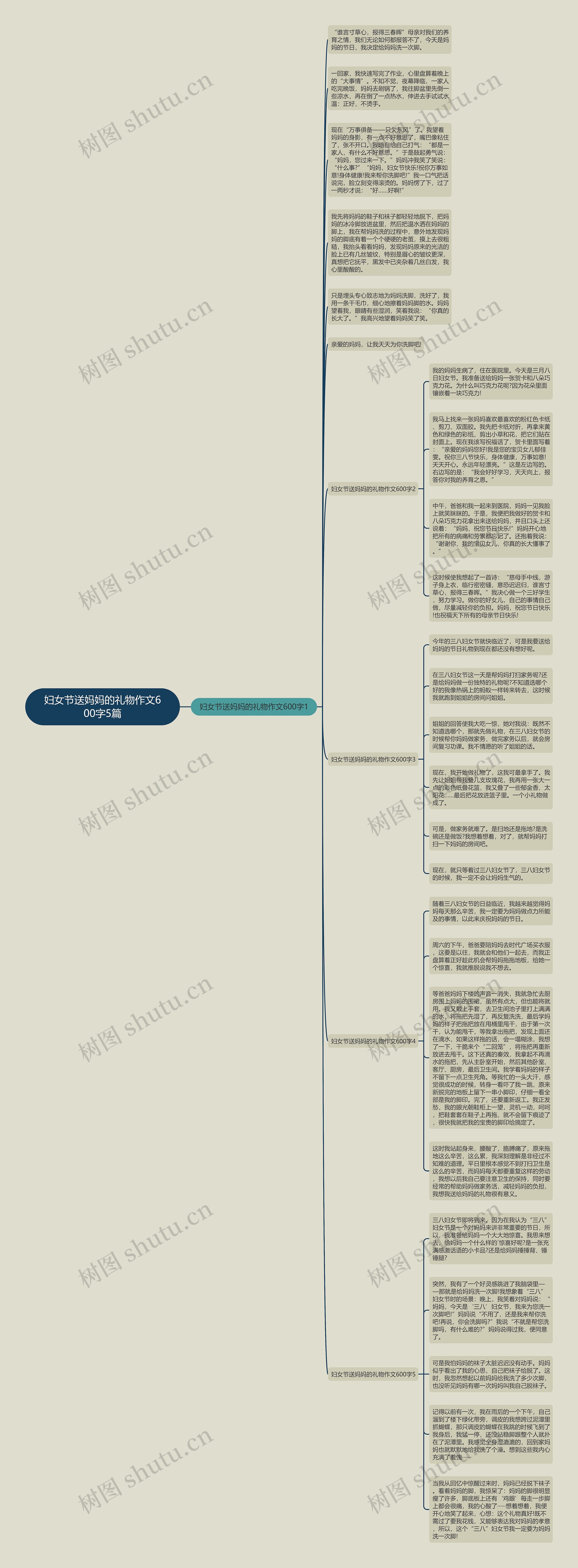 妇女节送妈妈的礼物作文600字5篇思维导图