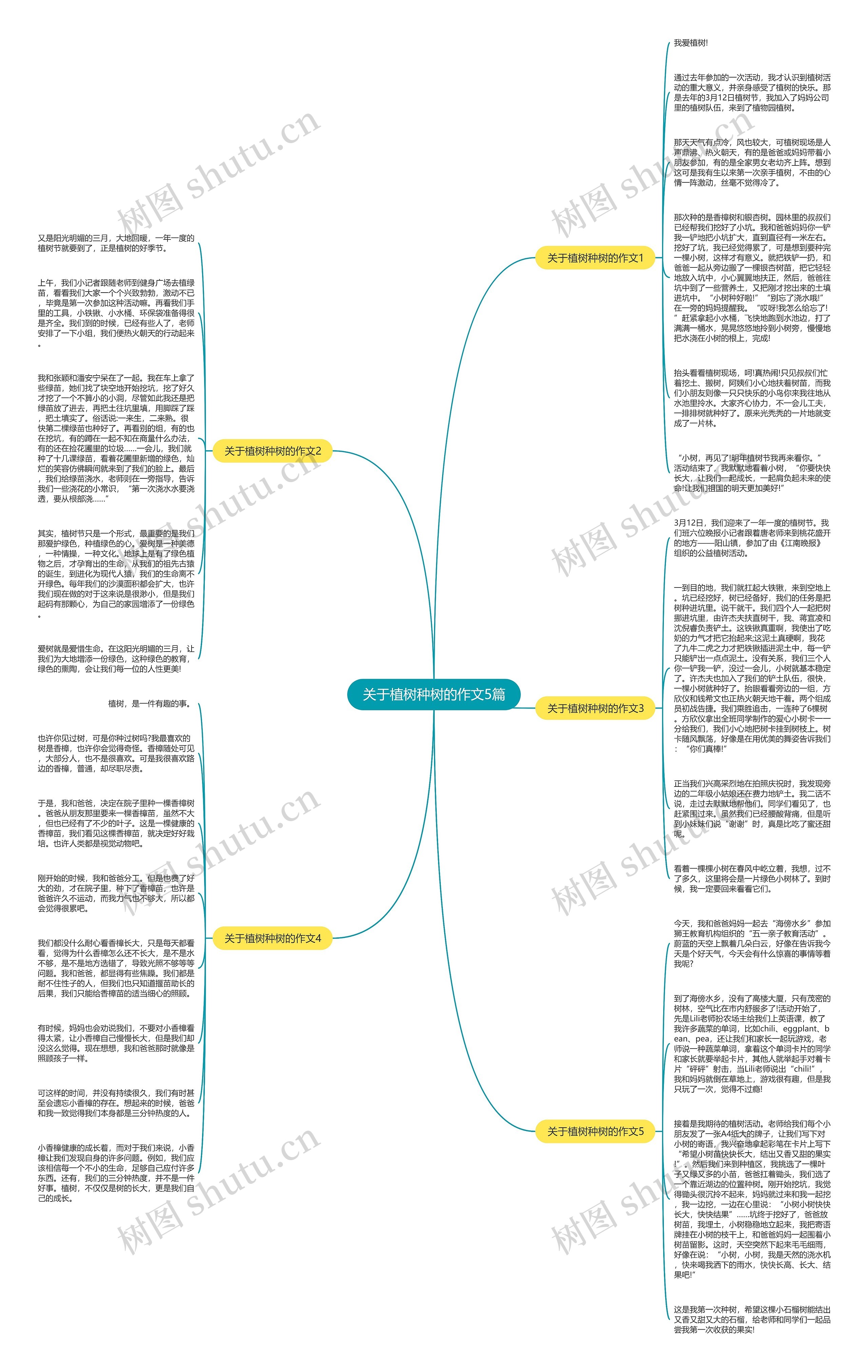 关于植树种树的作文5篇思维导图