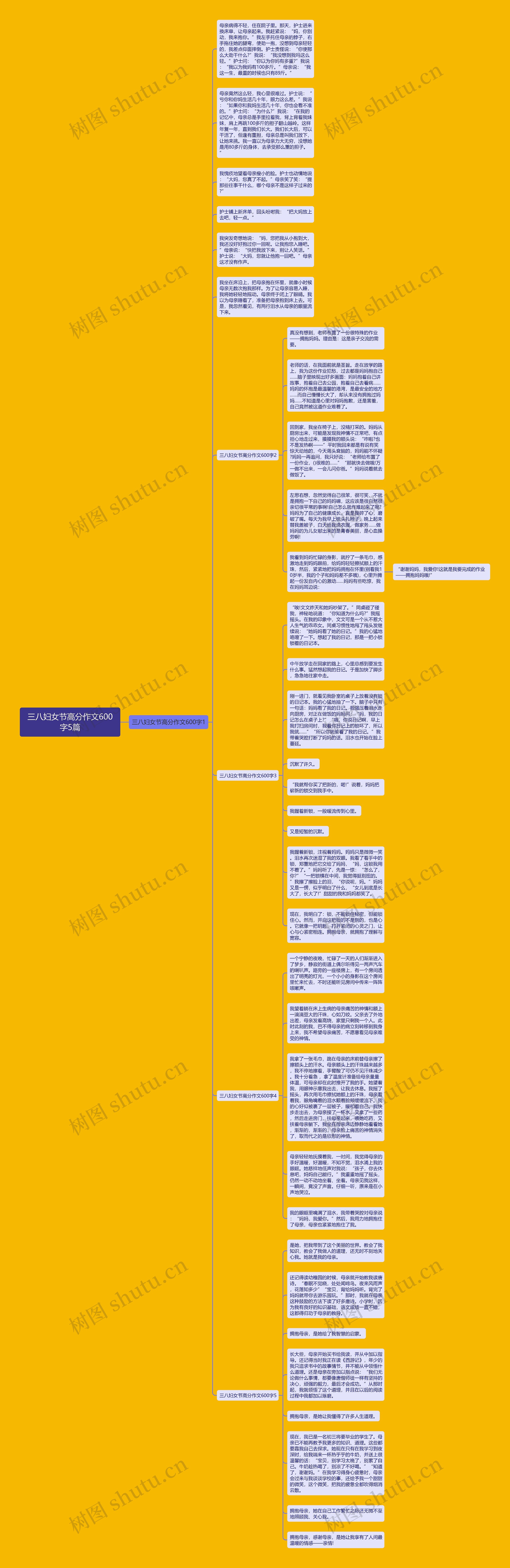 三八妇女节高分作文600字5篇思维导图