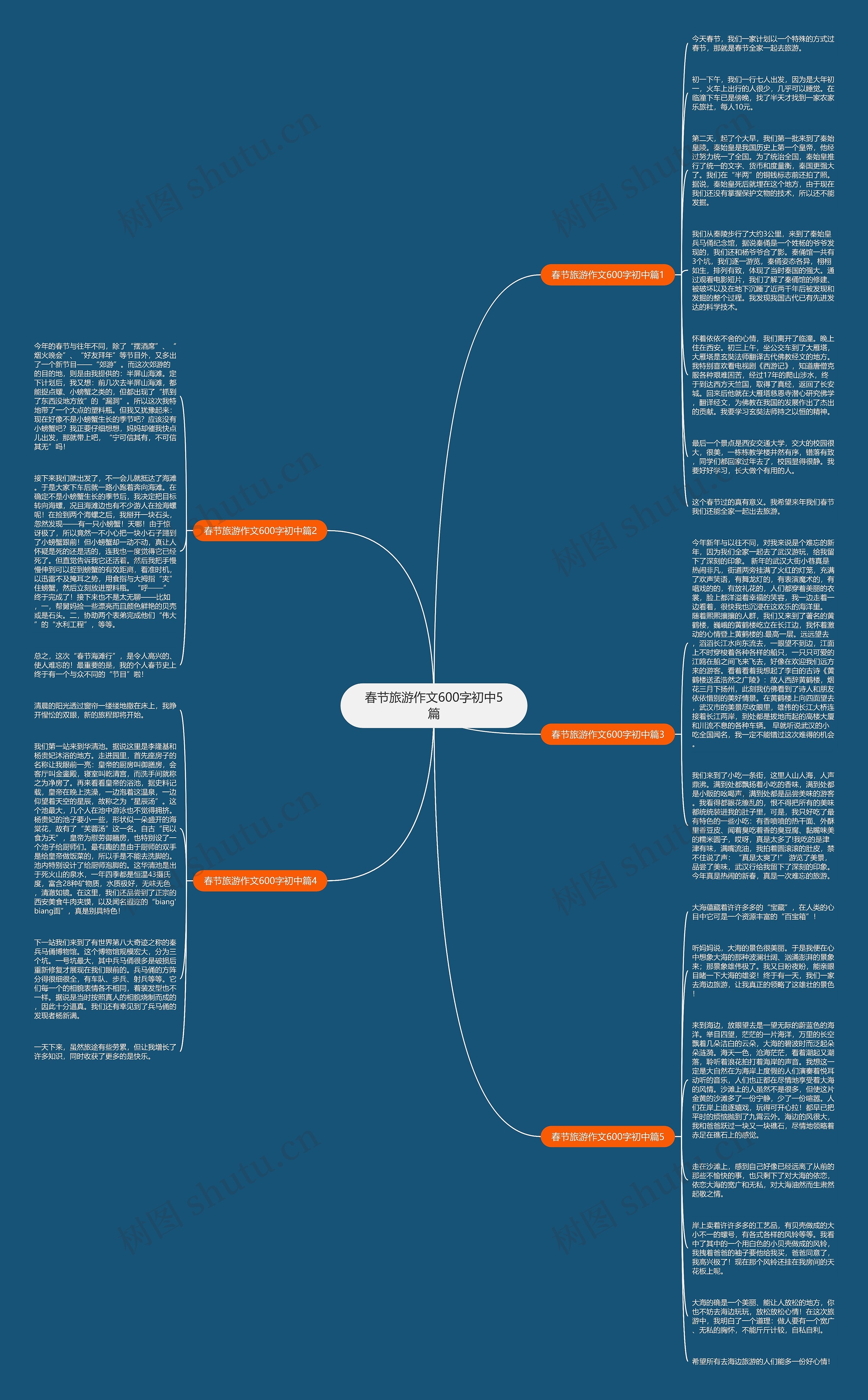春节旅游作文600字初中5篇