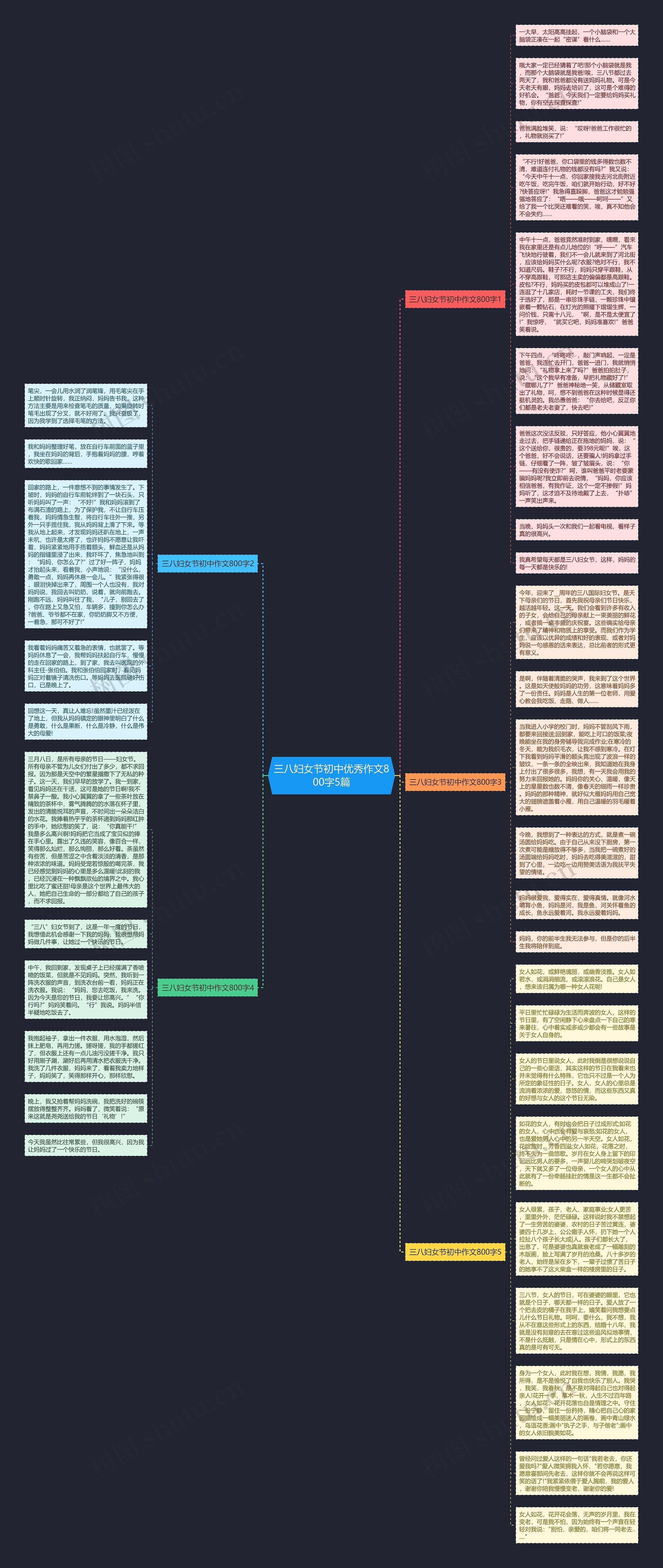 三八妇女节初中优秀作文800字5篇