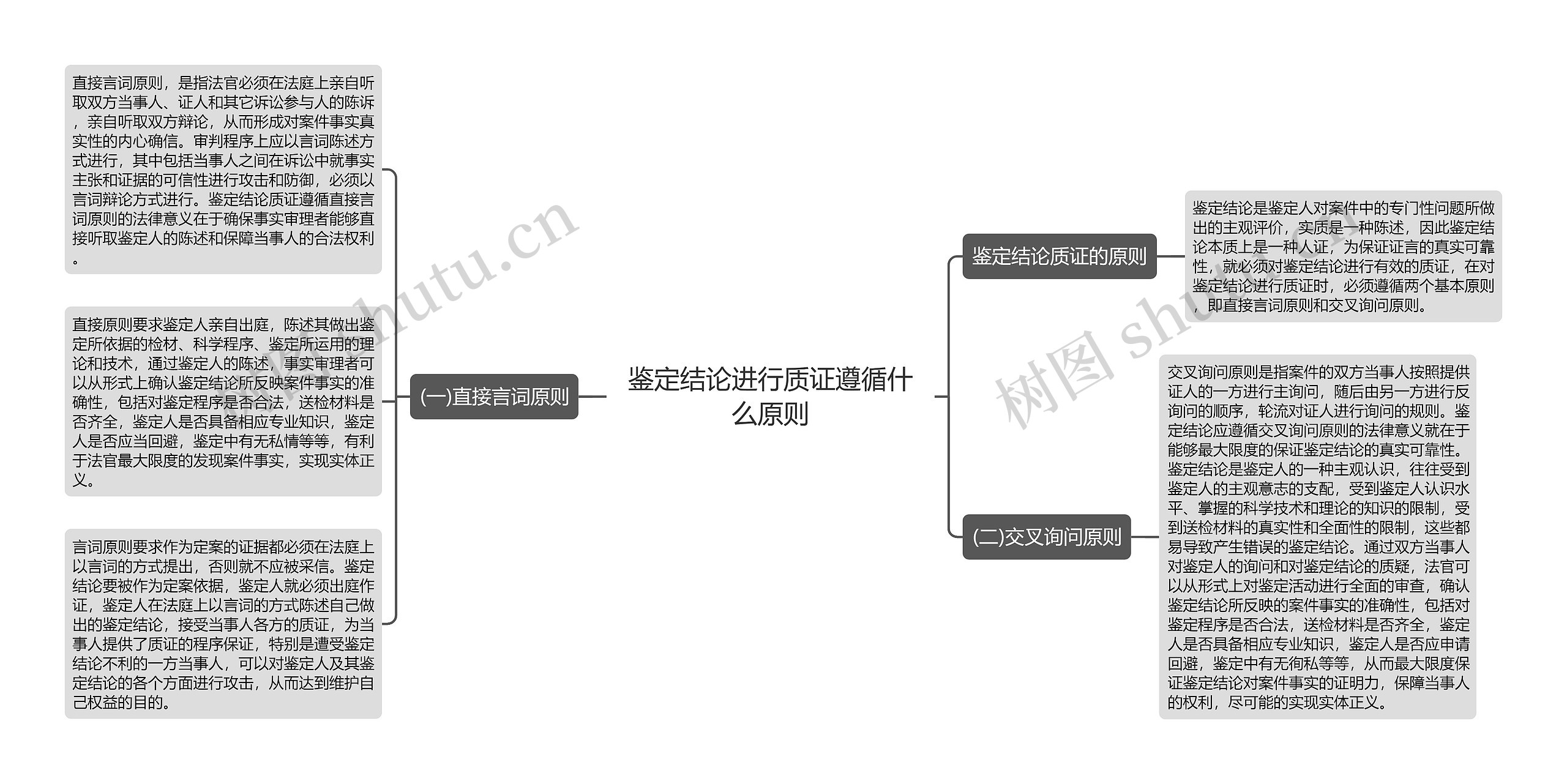 鉴定结论进行质证遵循什么原则思维导图