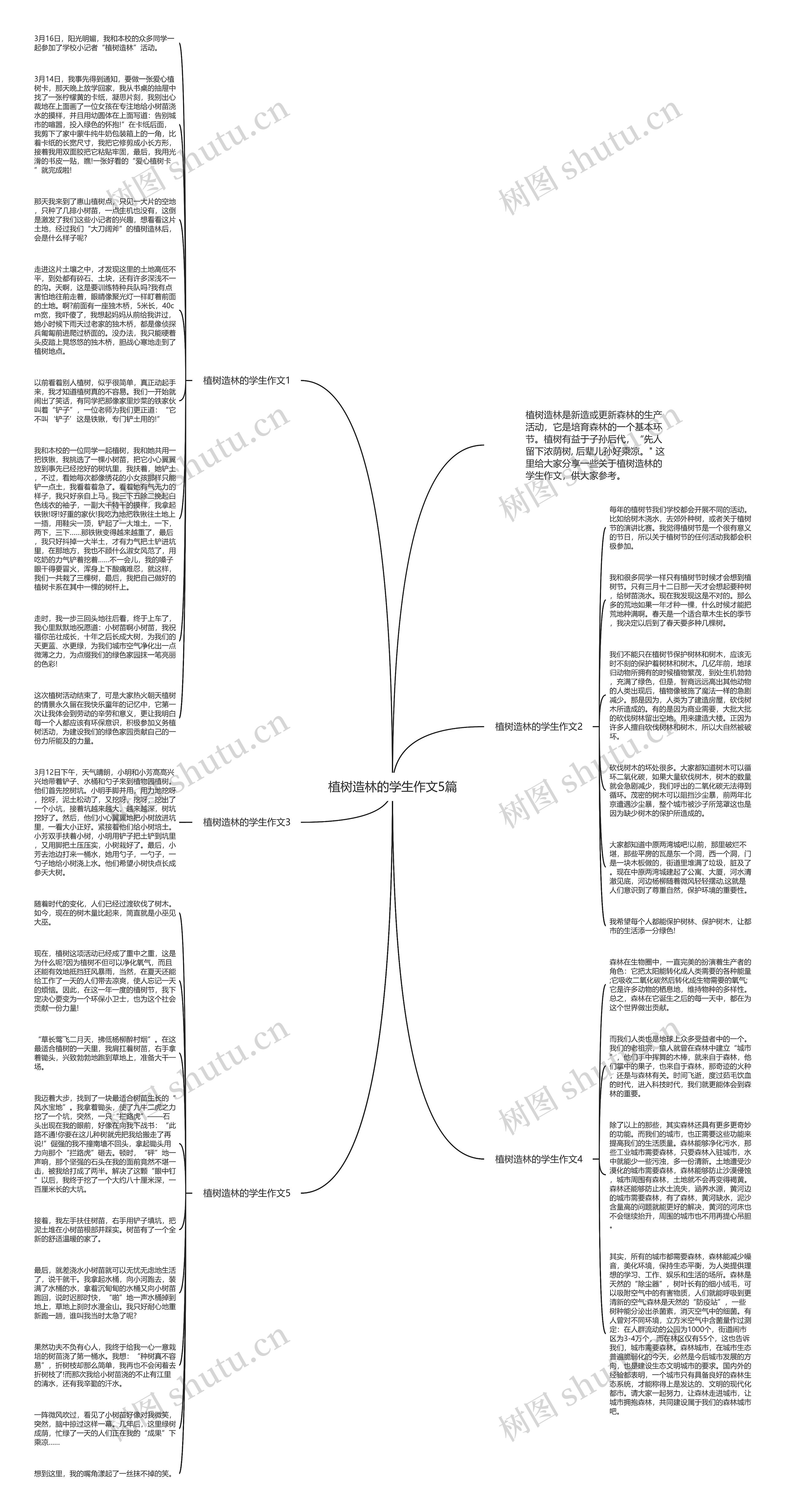 植树造林的学生作文5篇思维导图
