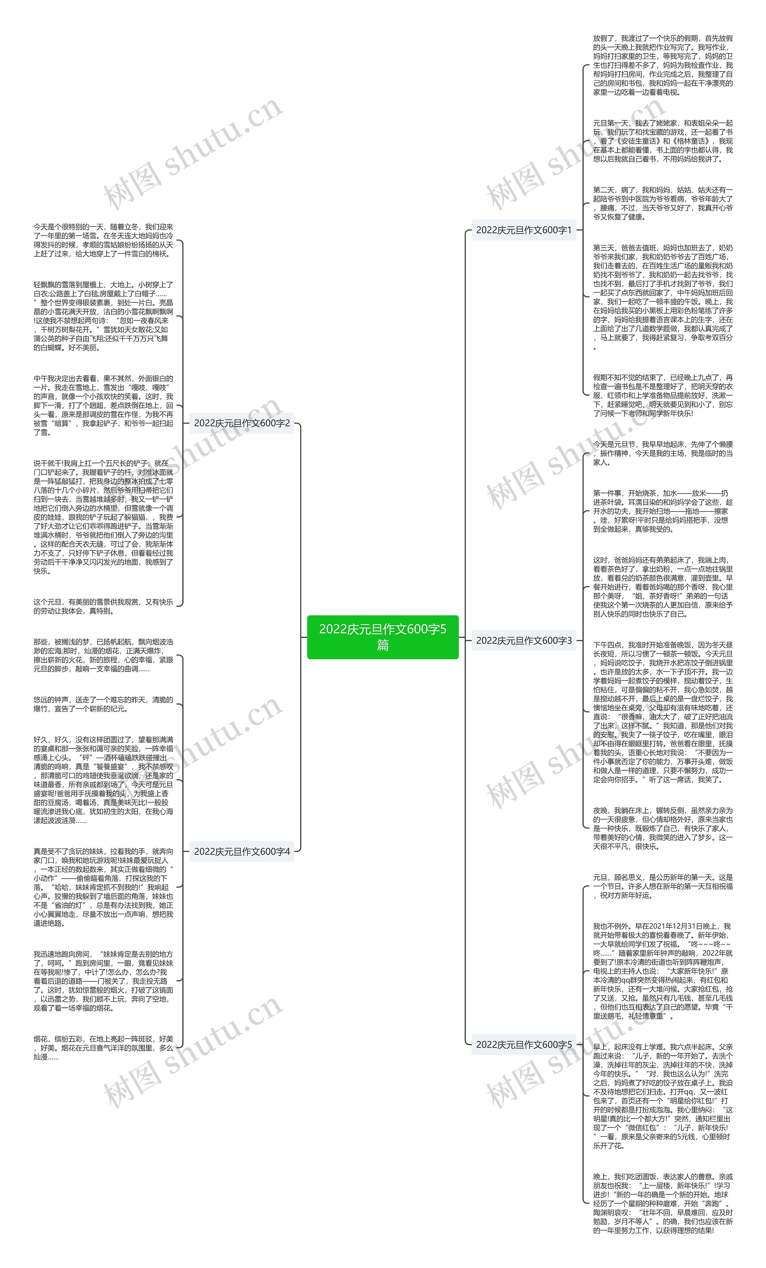 2022庆元旦作文600字5篇思维导图