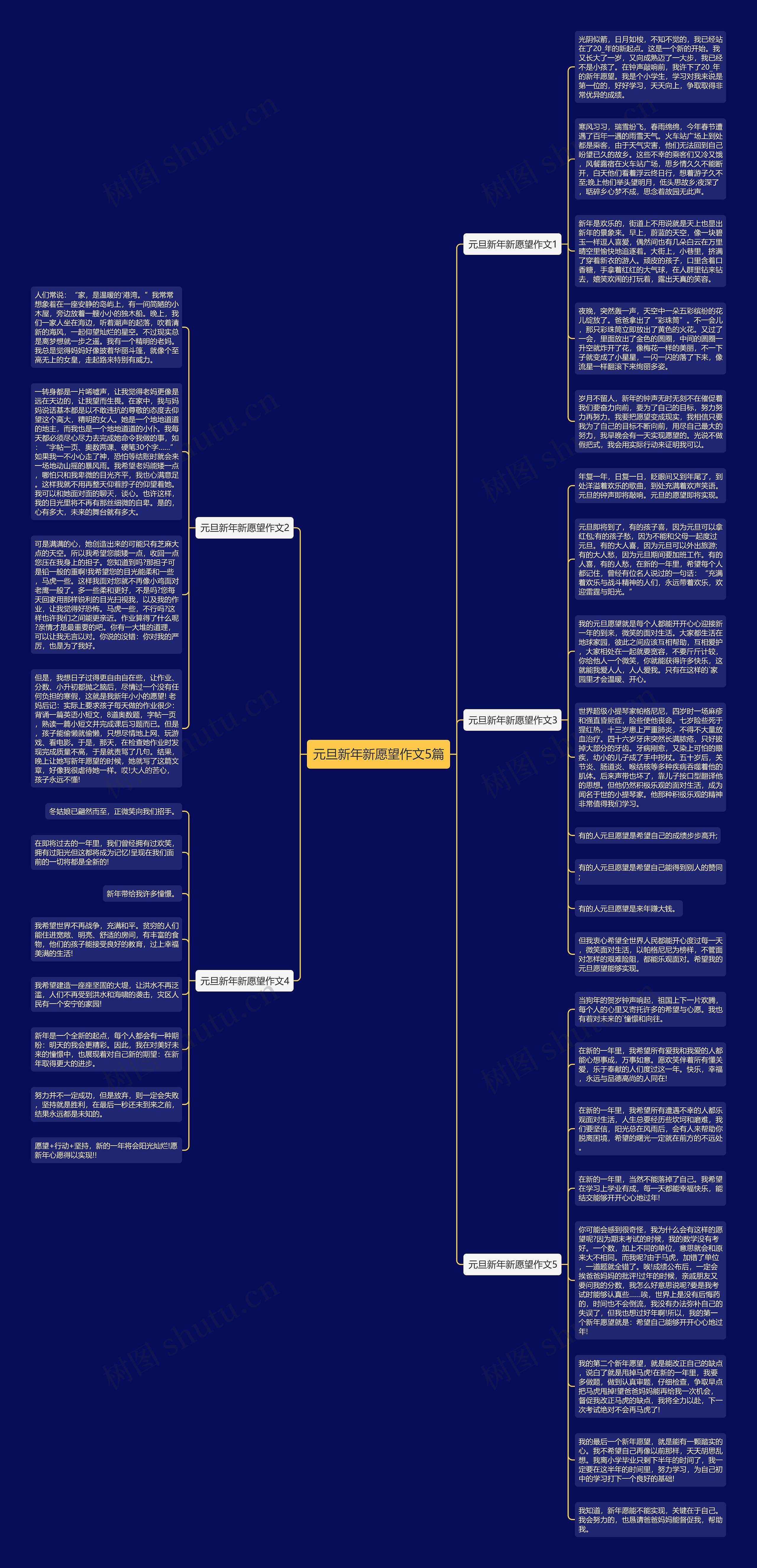 元旦新年新愿望作文5篇思维导图