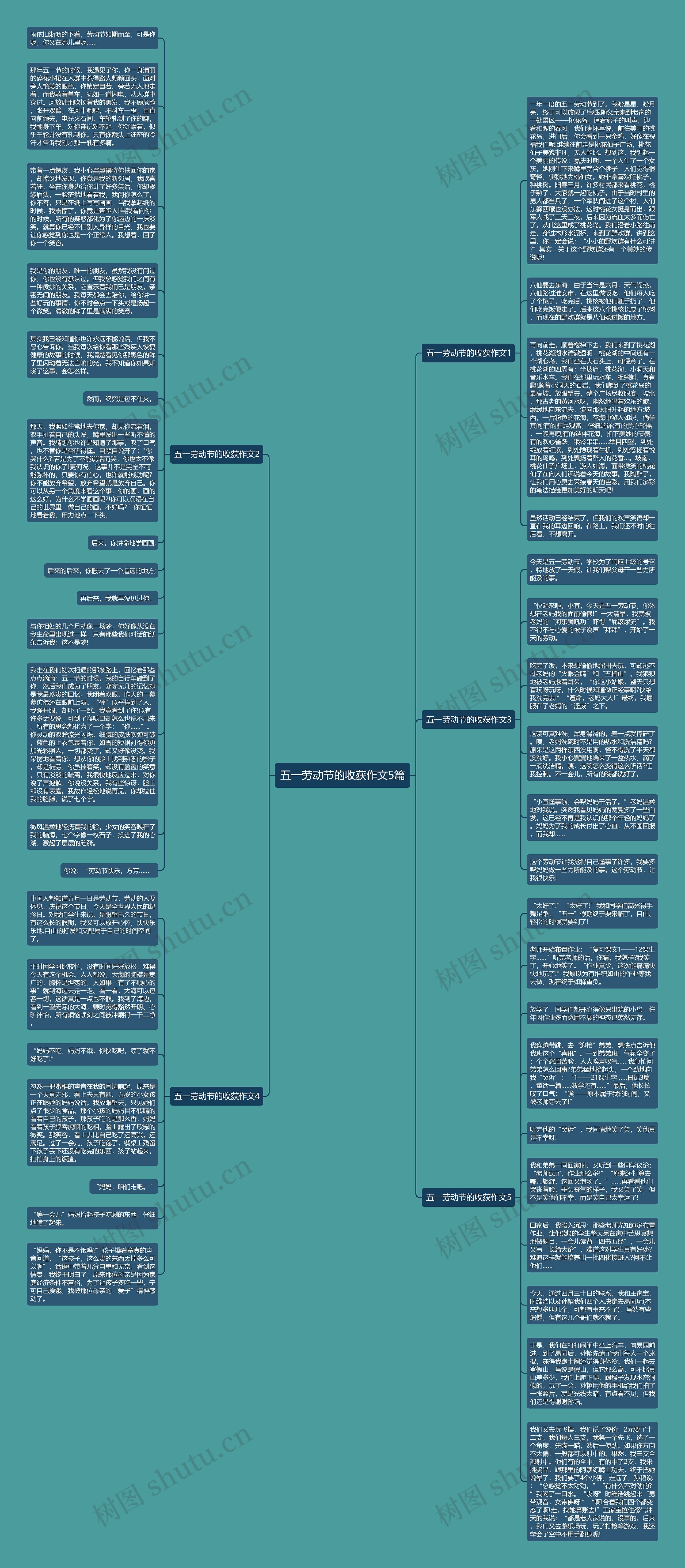 五一劳动节的收获作文5篇思维导图