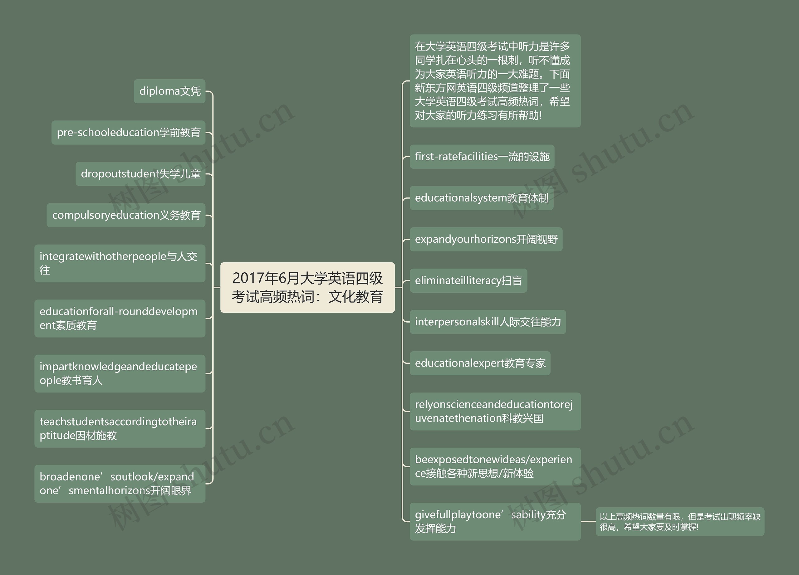 2017年6月大学英语四级考试高频热词：文化教育