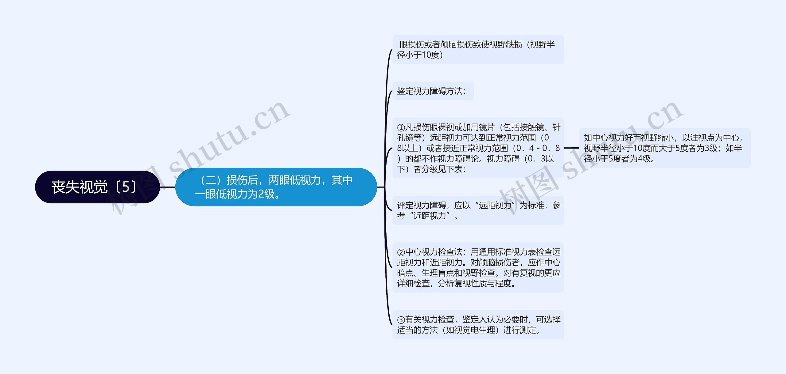 丧失视觉〔5〕思维导图