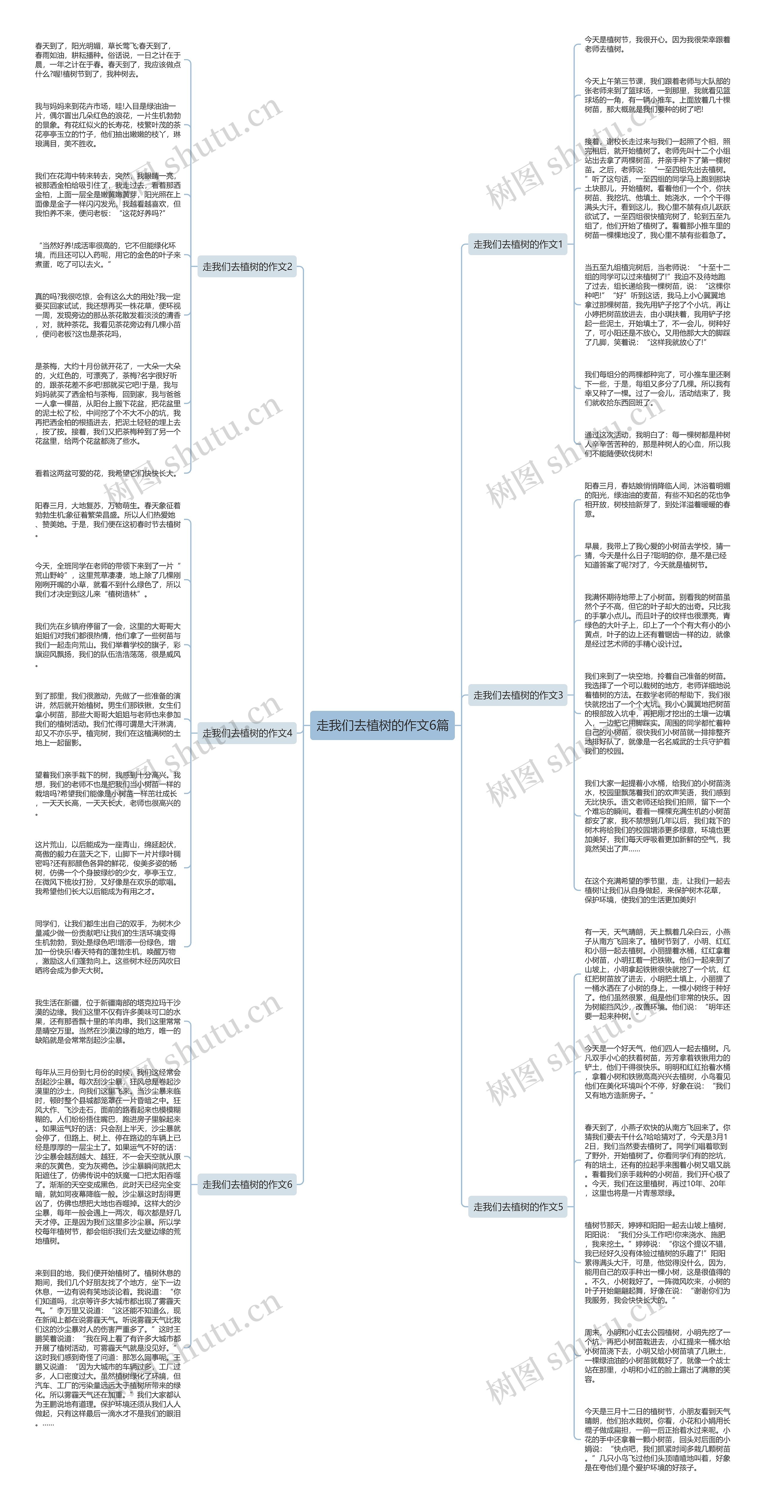 走我们去植树的作文6篇思维导图
