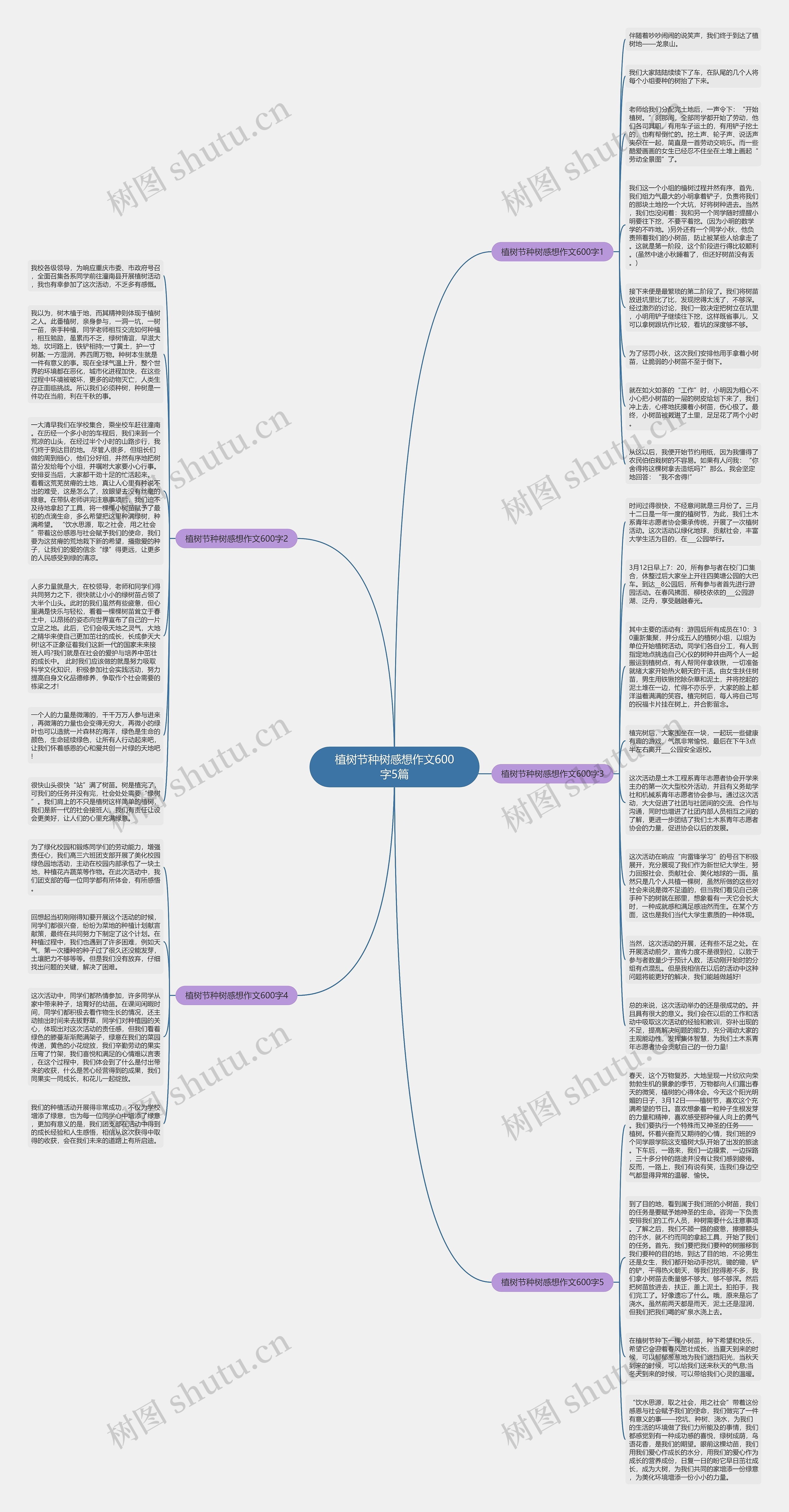 植树节种树感想作文600字5篇思维导图