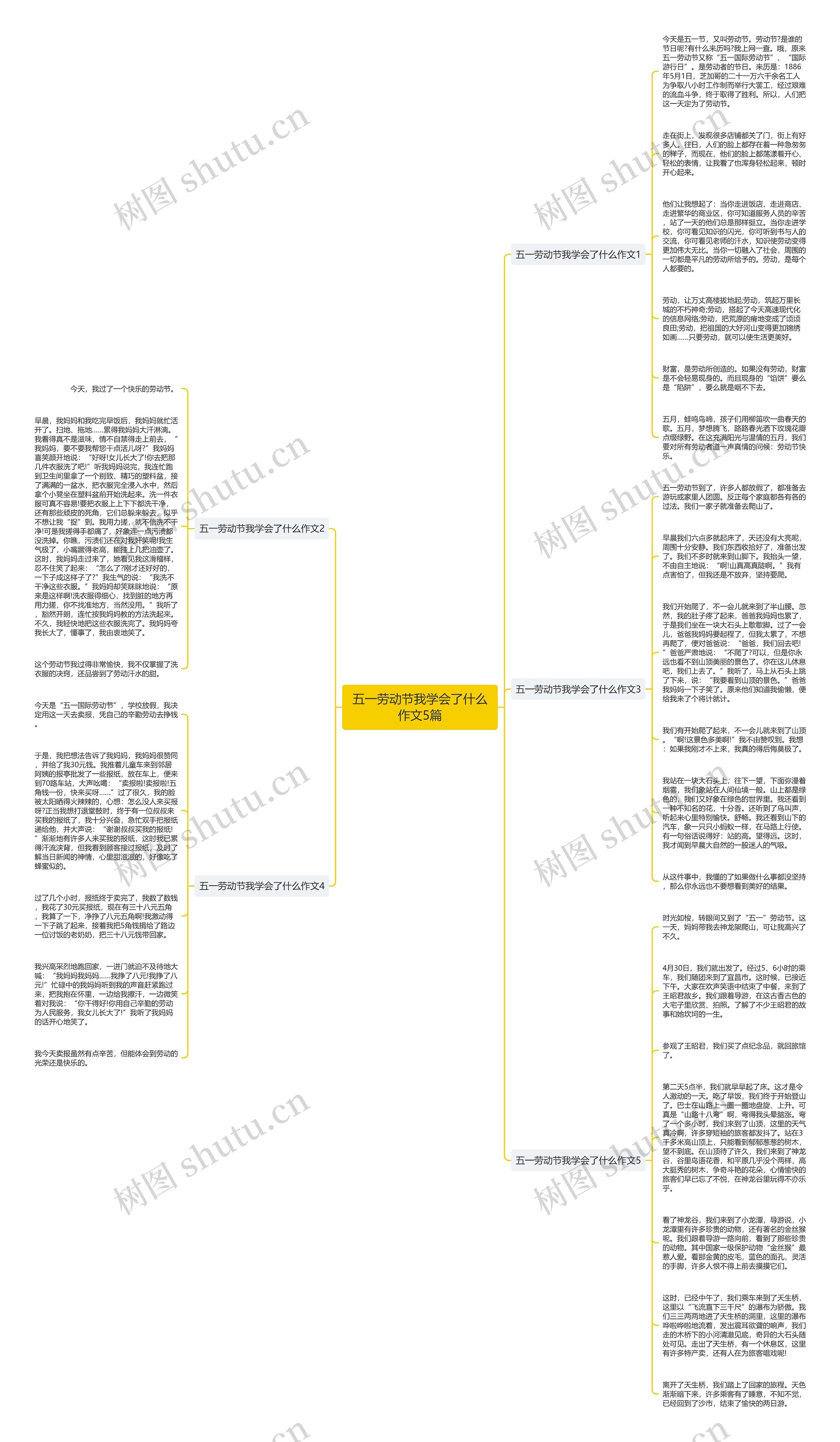 五一劳动节我学会了什么作文5篇思维导图