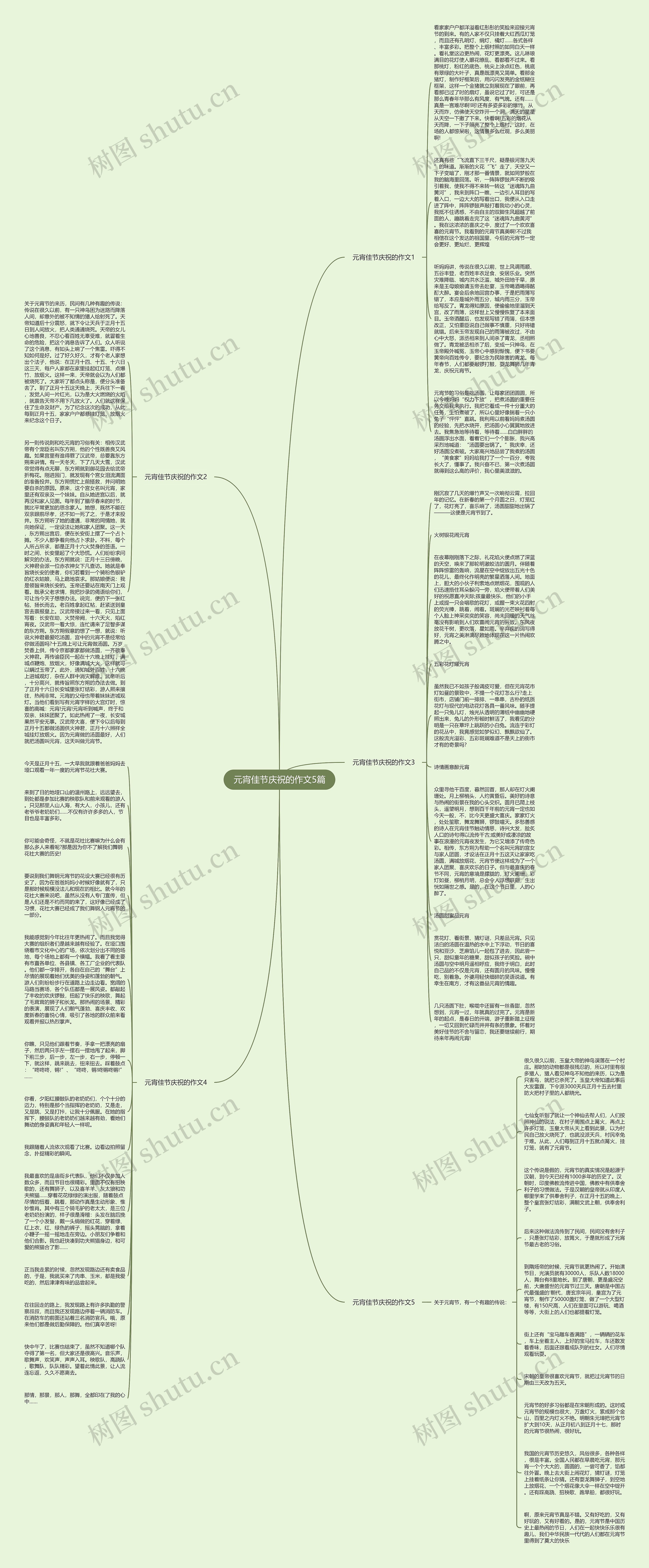 元宵佳节庆祝的作文5篇思维导图