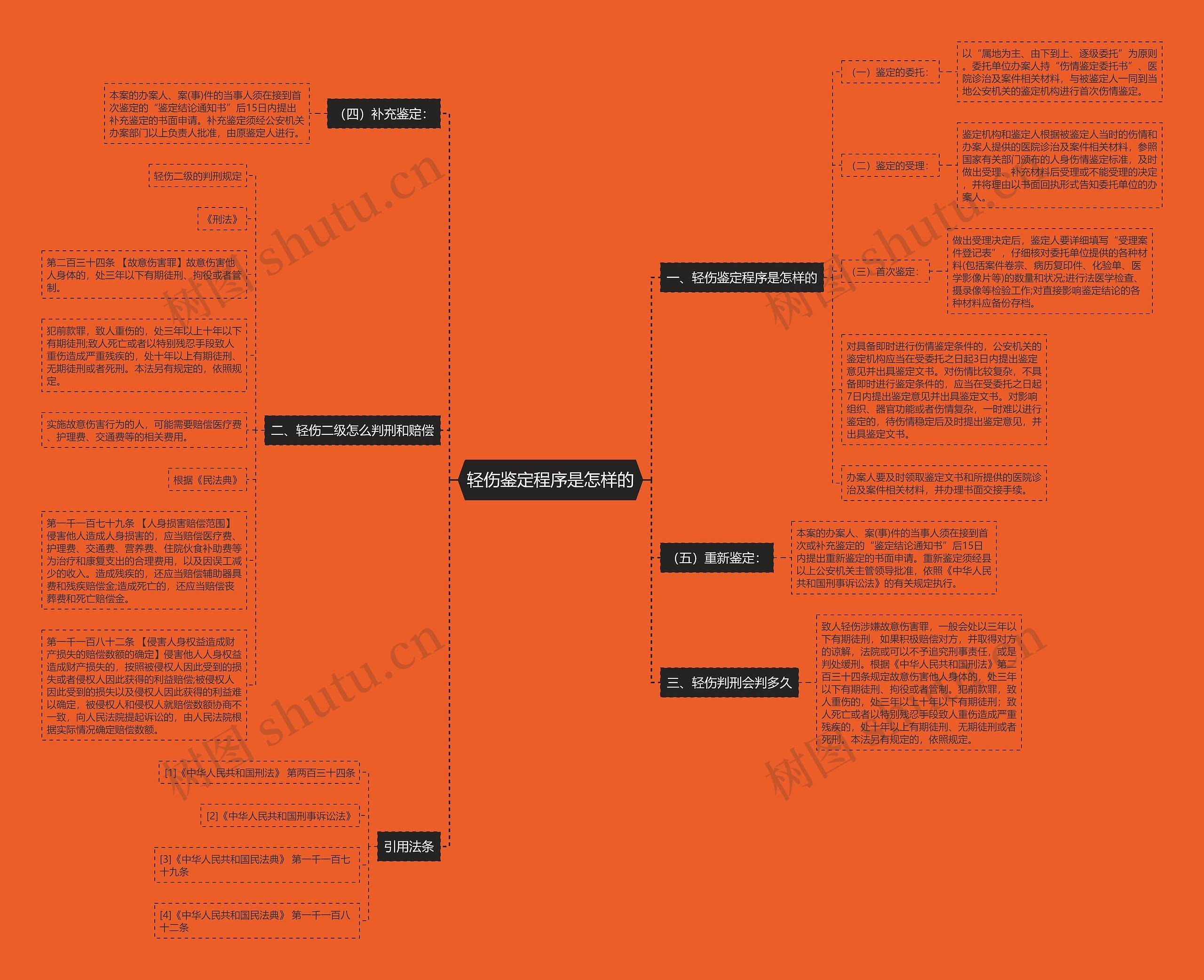 轻伤鉴定程序是怎样的思维导图