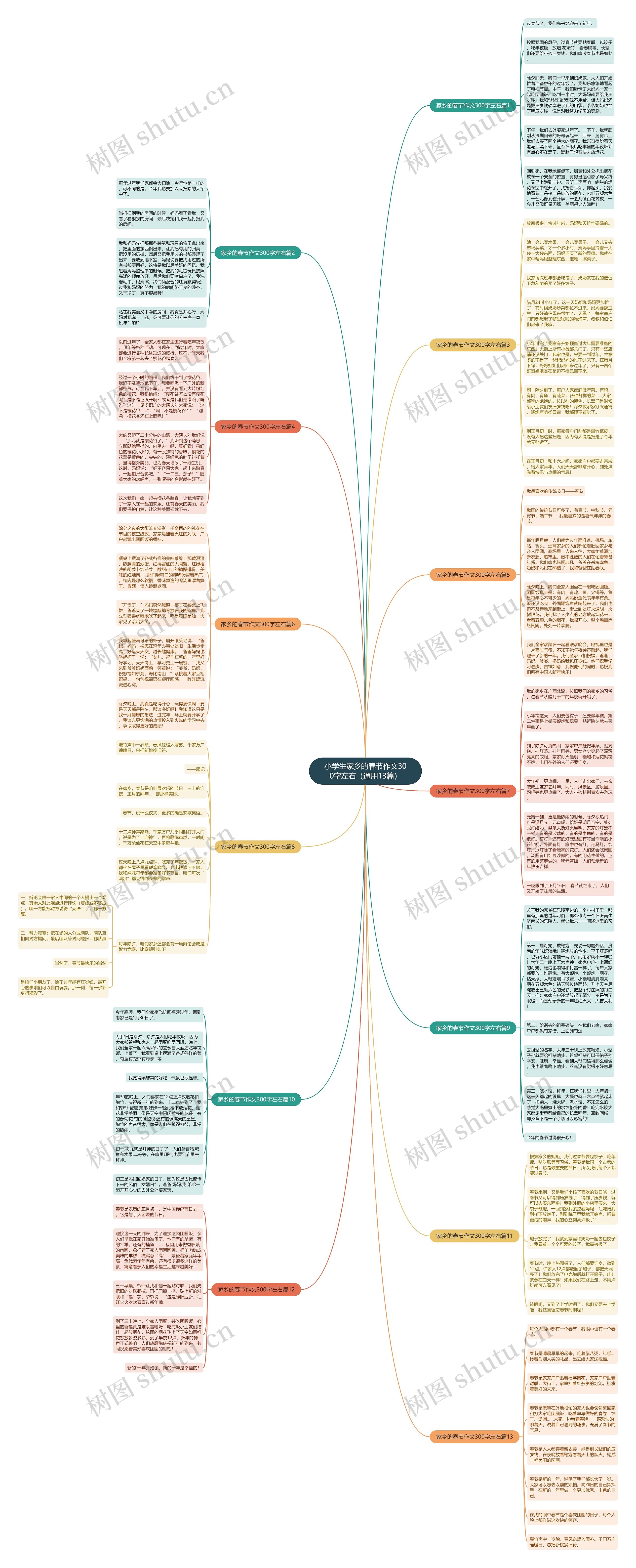 小学生家乡的春节作文300字左右（通用13篇）思维导图