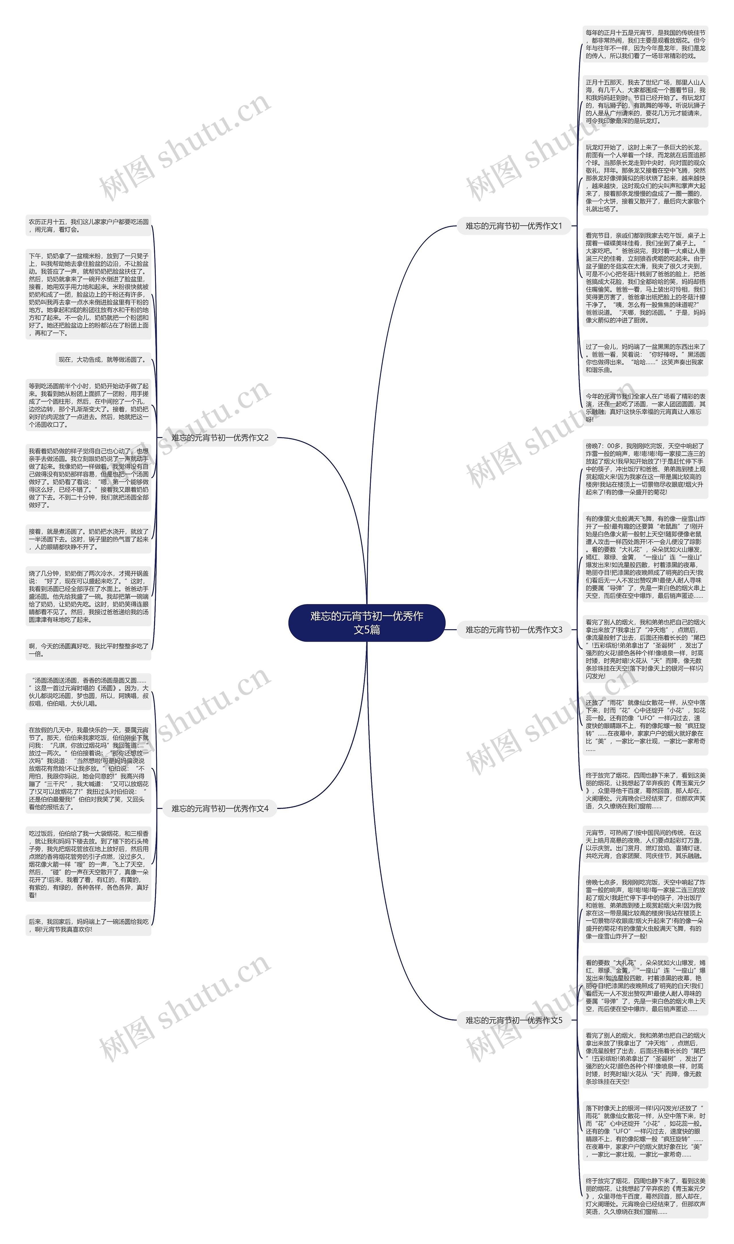 难忘的元宵节初一优秀作文5篇思维导图
