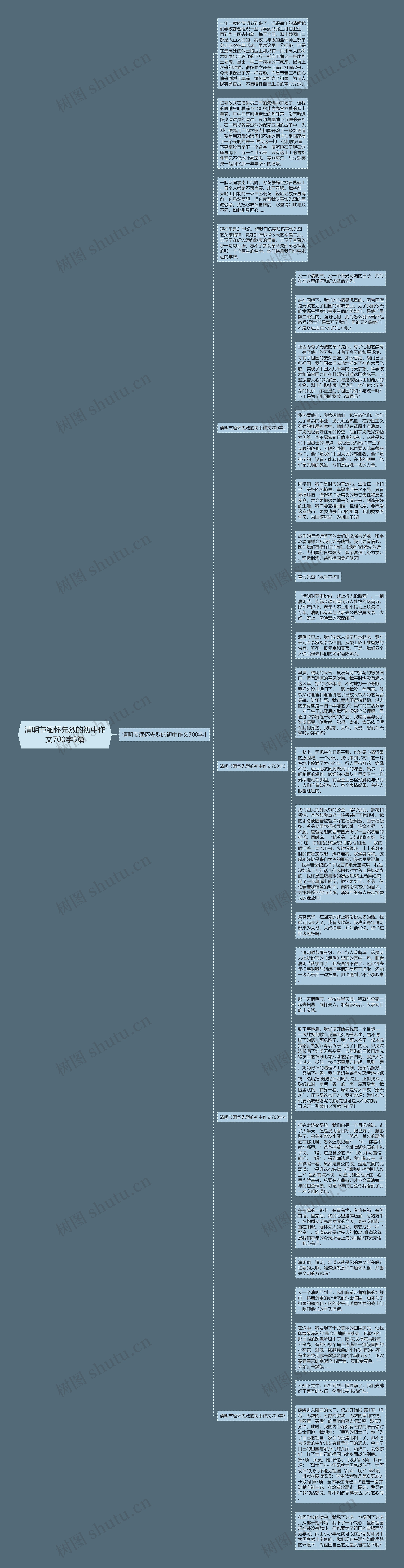 清明节缅怀先烈的初中作文700字5篇思维导图
