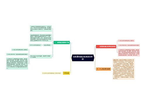 法医重伤鉴定标准是怎样的