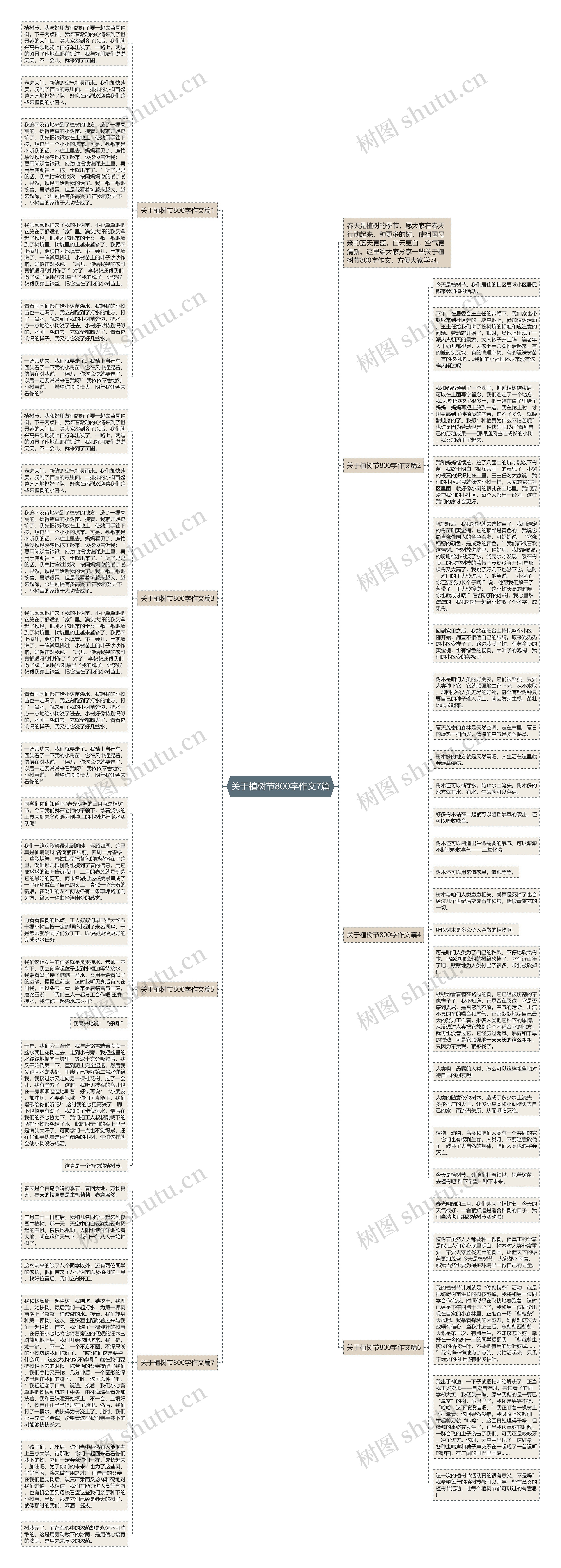 关于植树节800字作文7篇思维导图