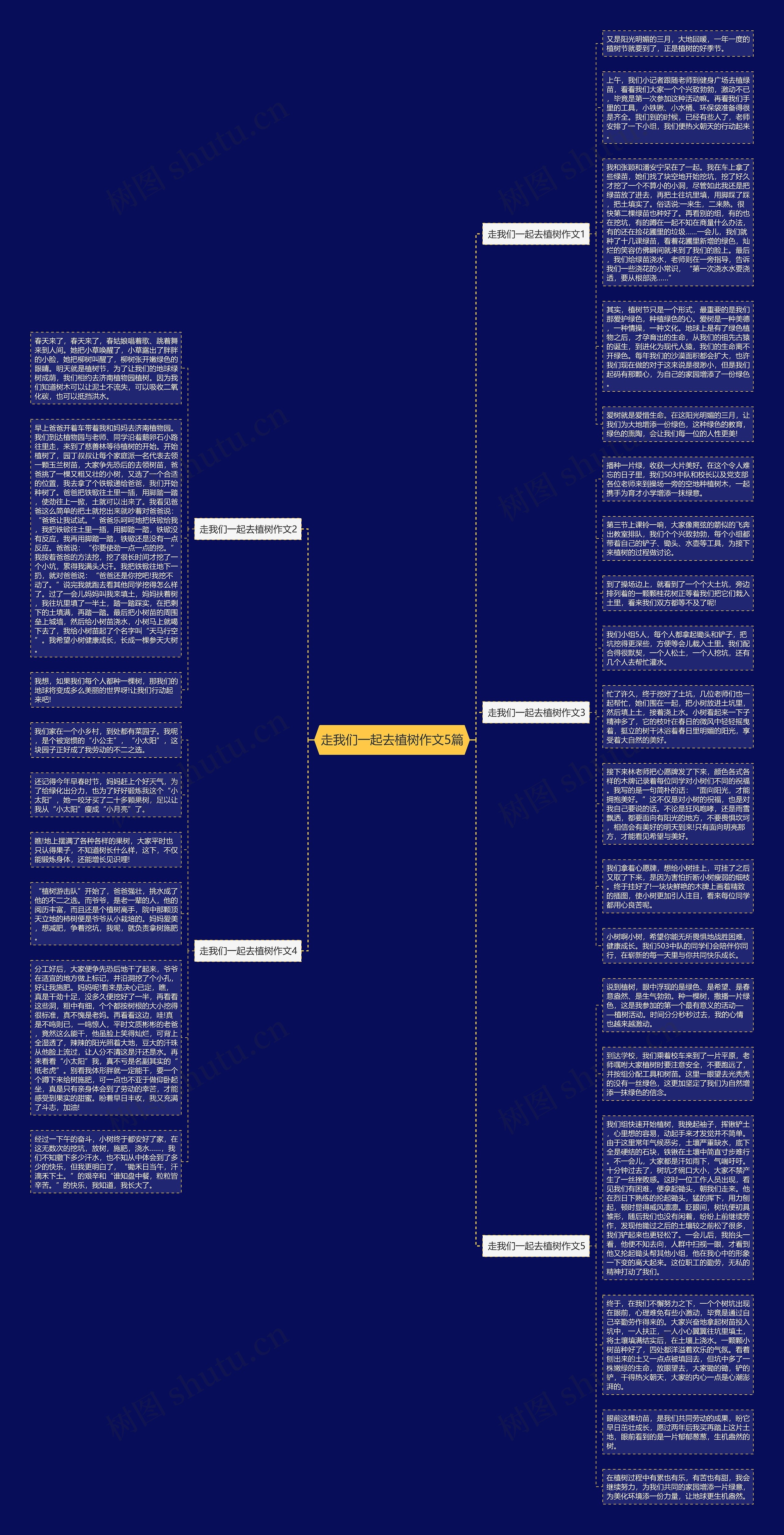 走我们一起去植树作文5篇思维导图