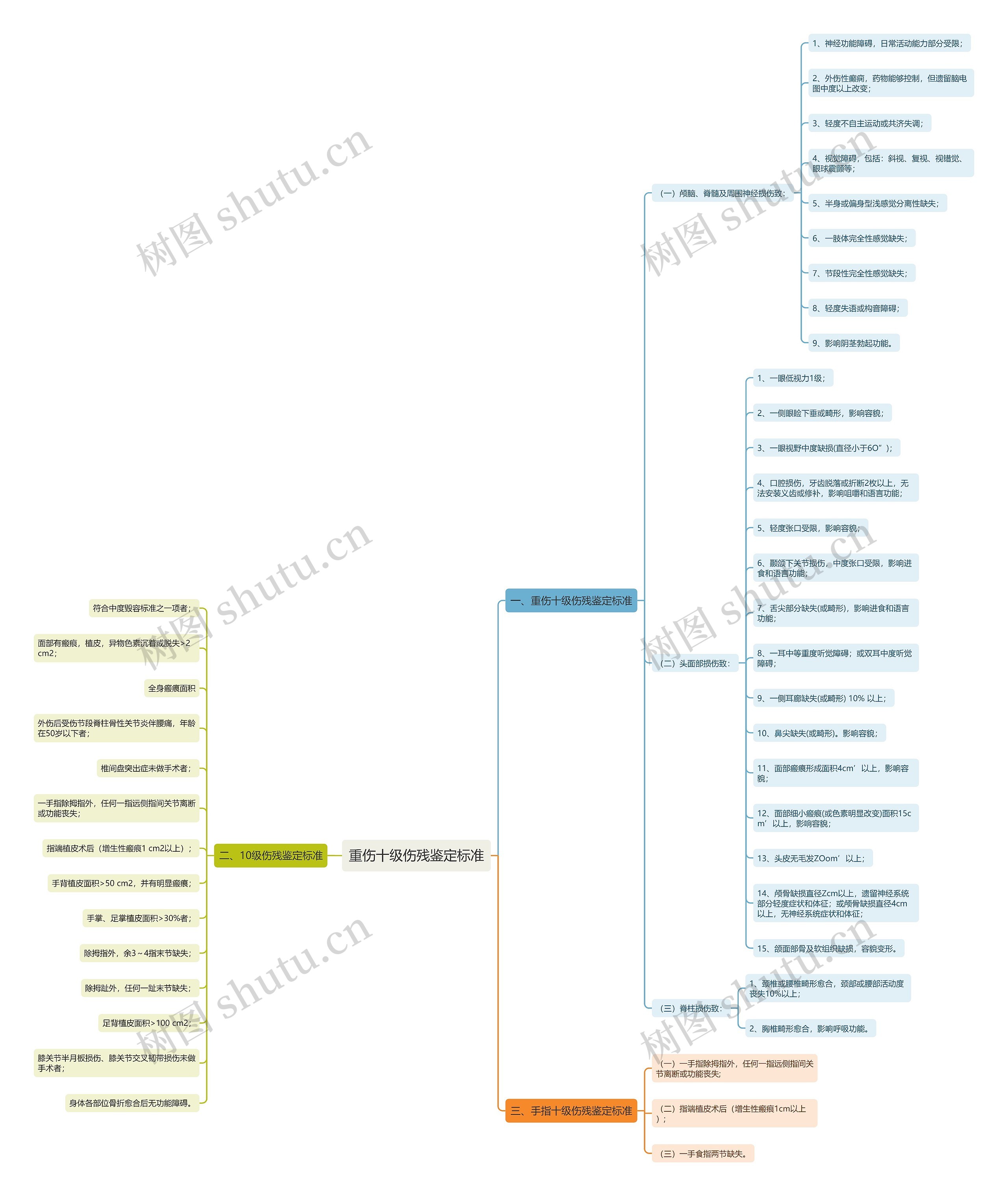 重伤十级伤残鉴定标准思维导图