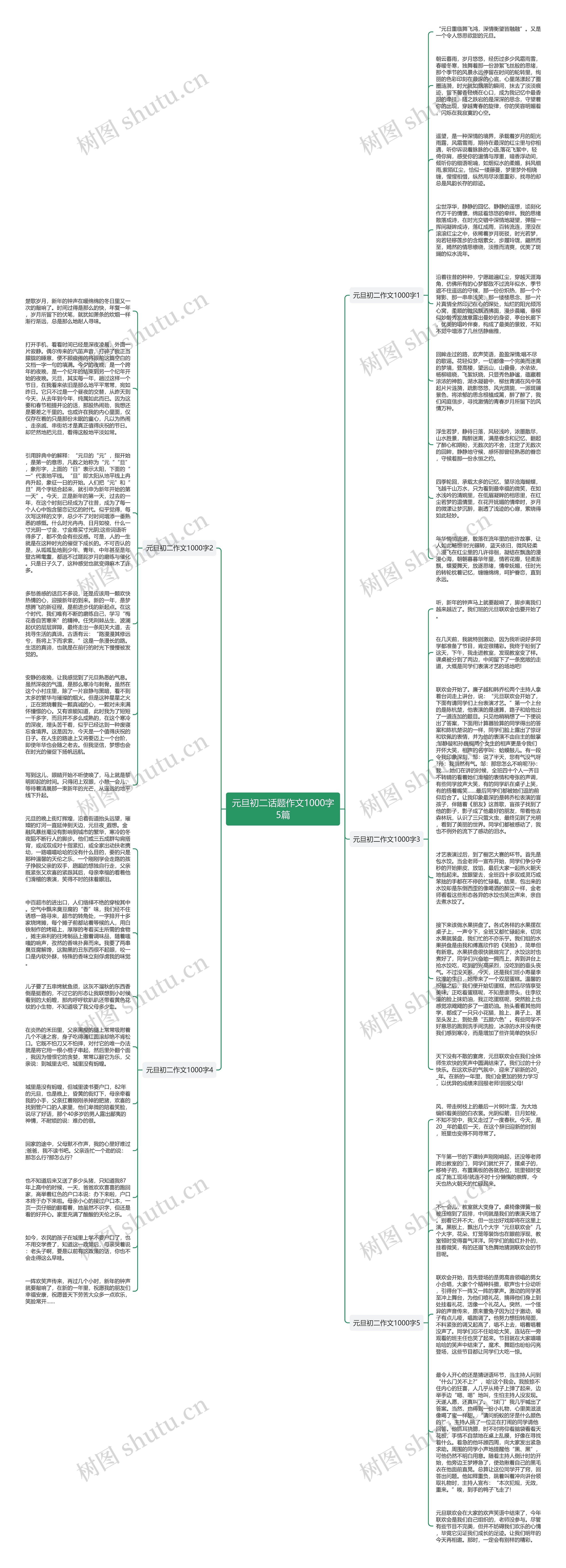 元旦初二话题作文1000字5篇思维导图