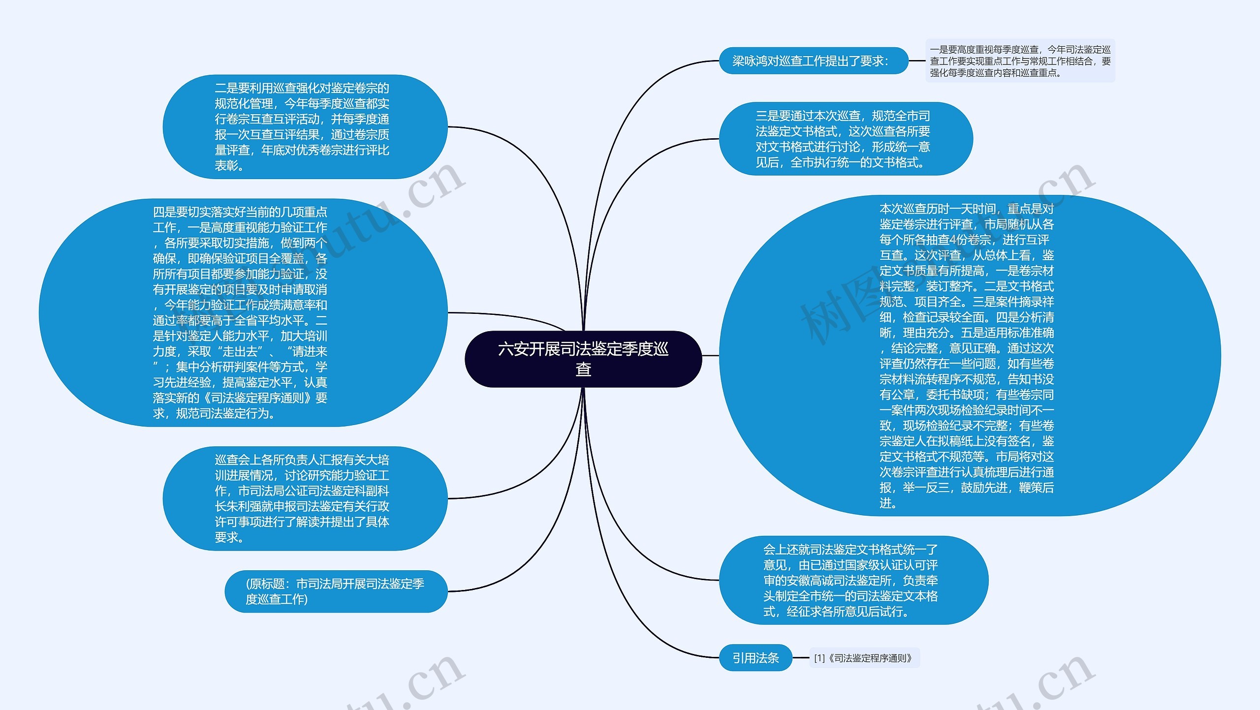 六安开展司法鉴定季度巡查思维导图