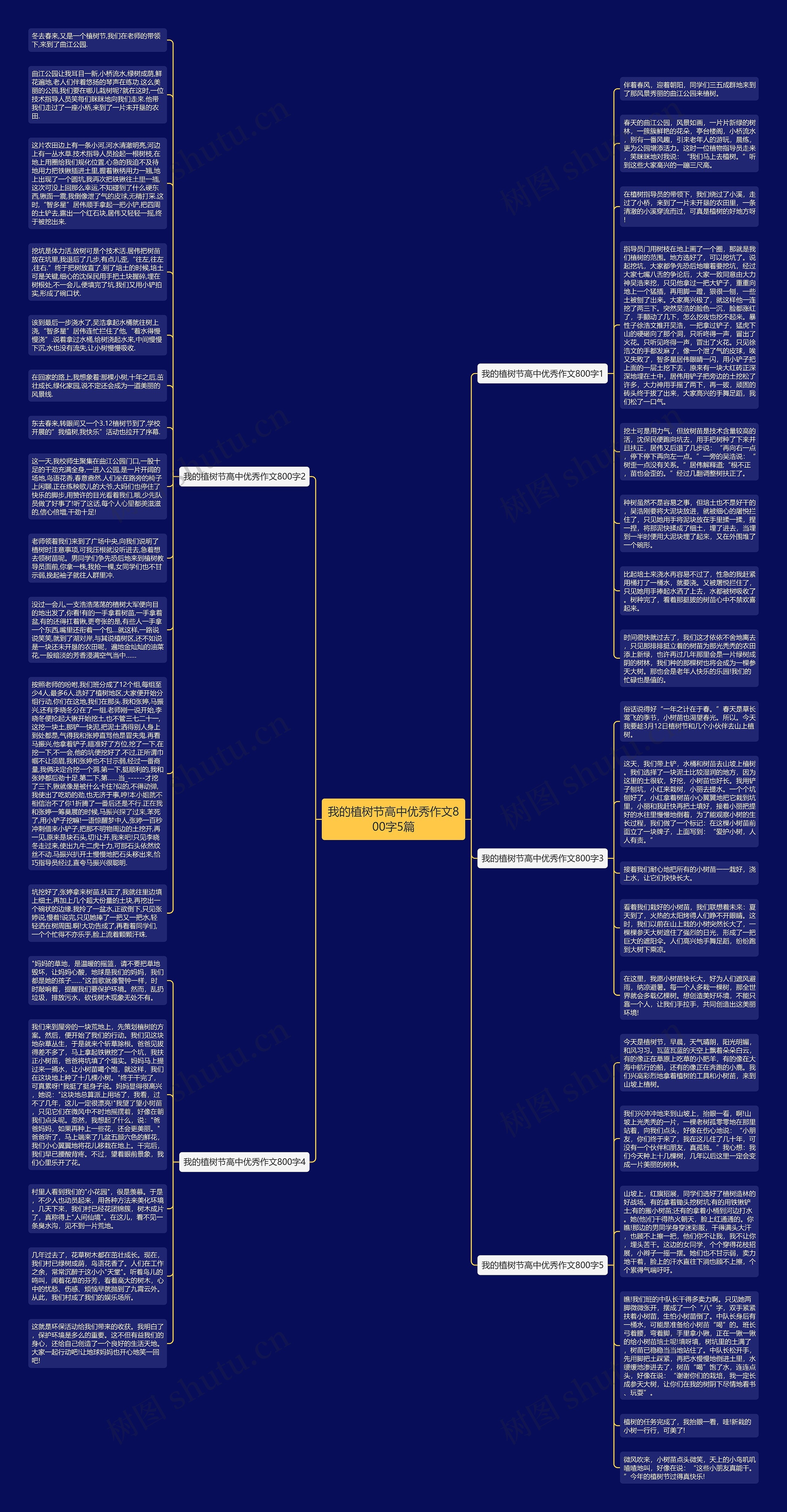 我的植树节高中优秀作文800字5篇思维导图