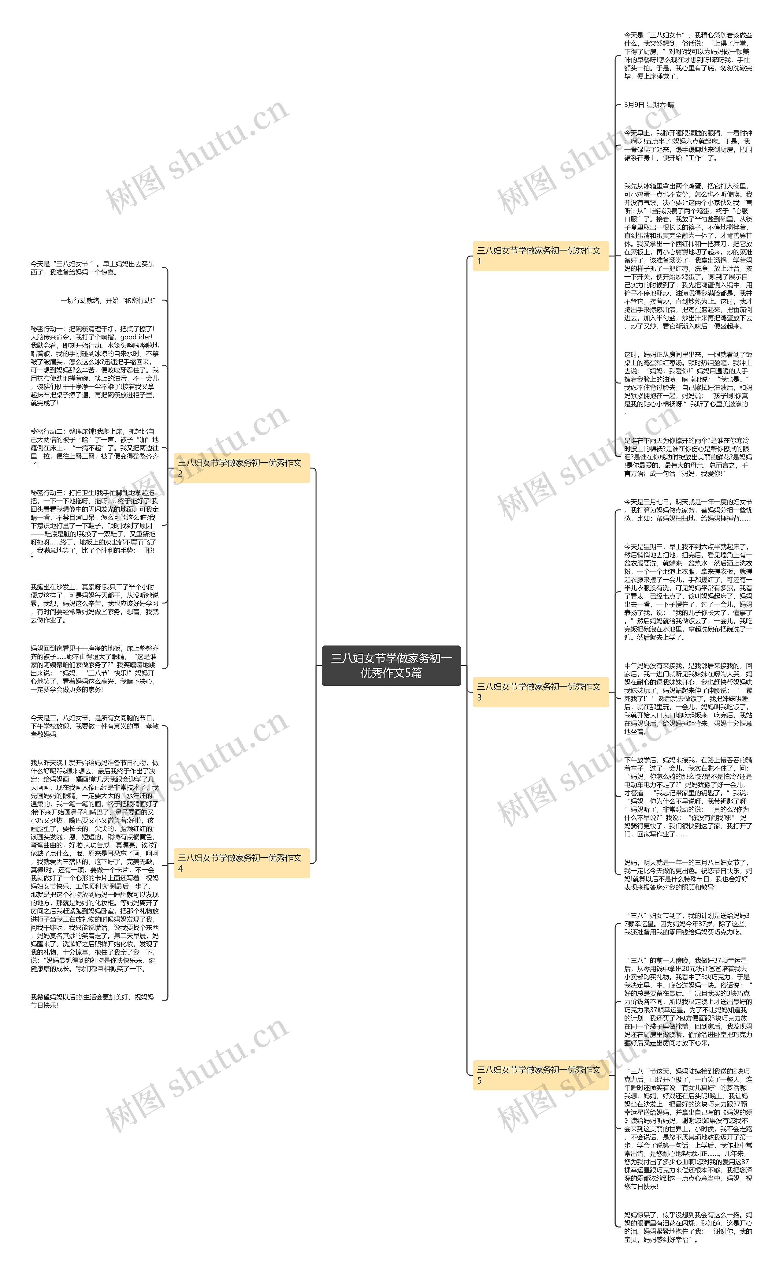 三八妇女节学做家务初一优秀作文5篇思维导图