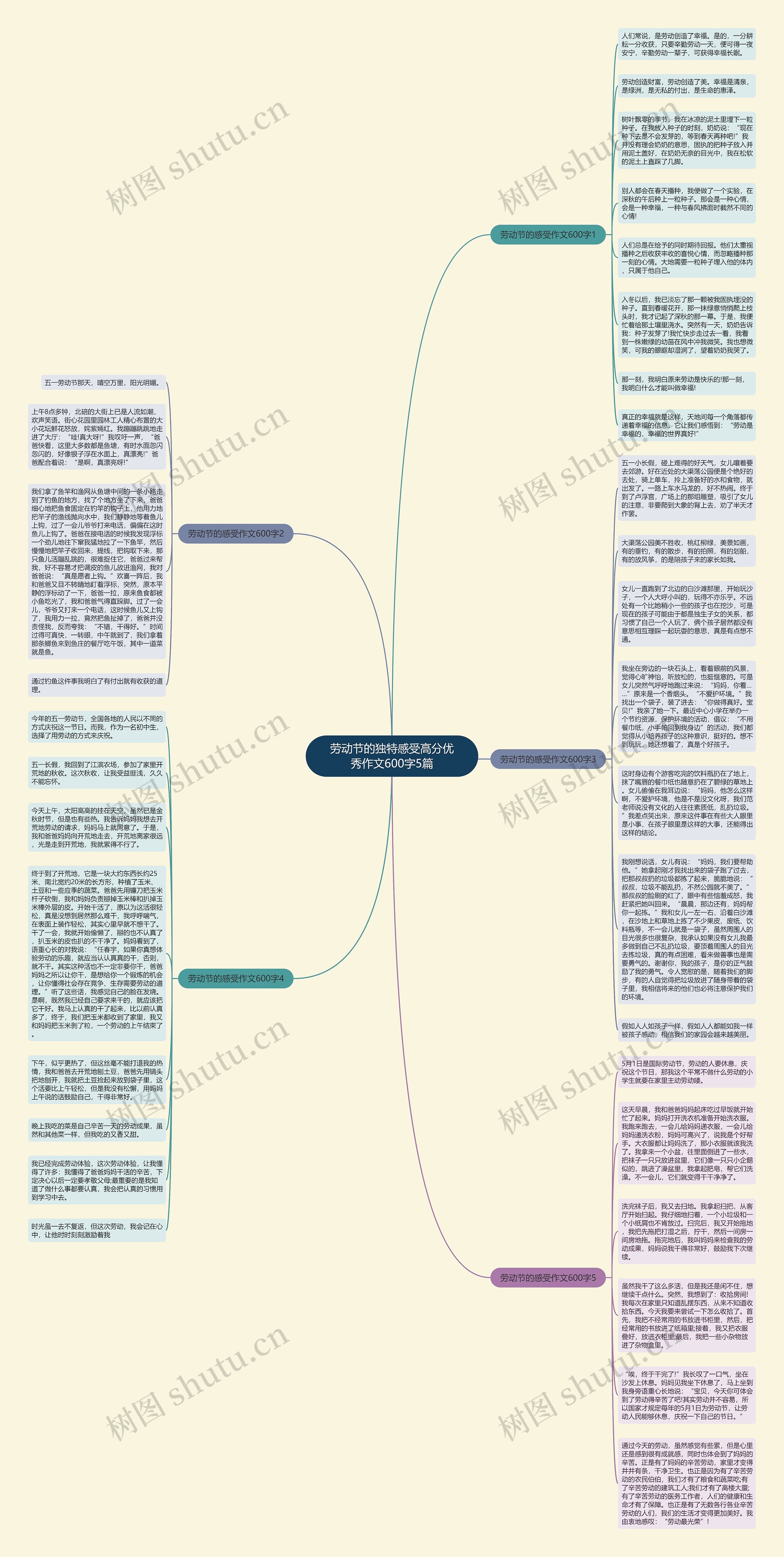 劳动节的独特感受高分优秀作文600字5篇思维导图