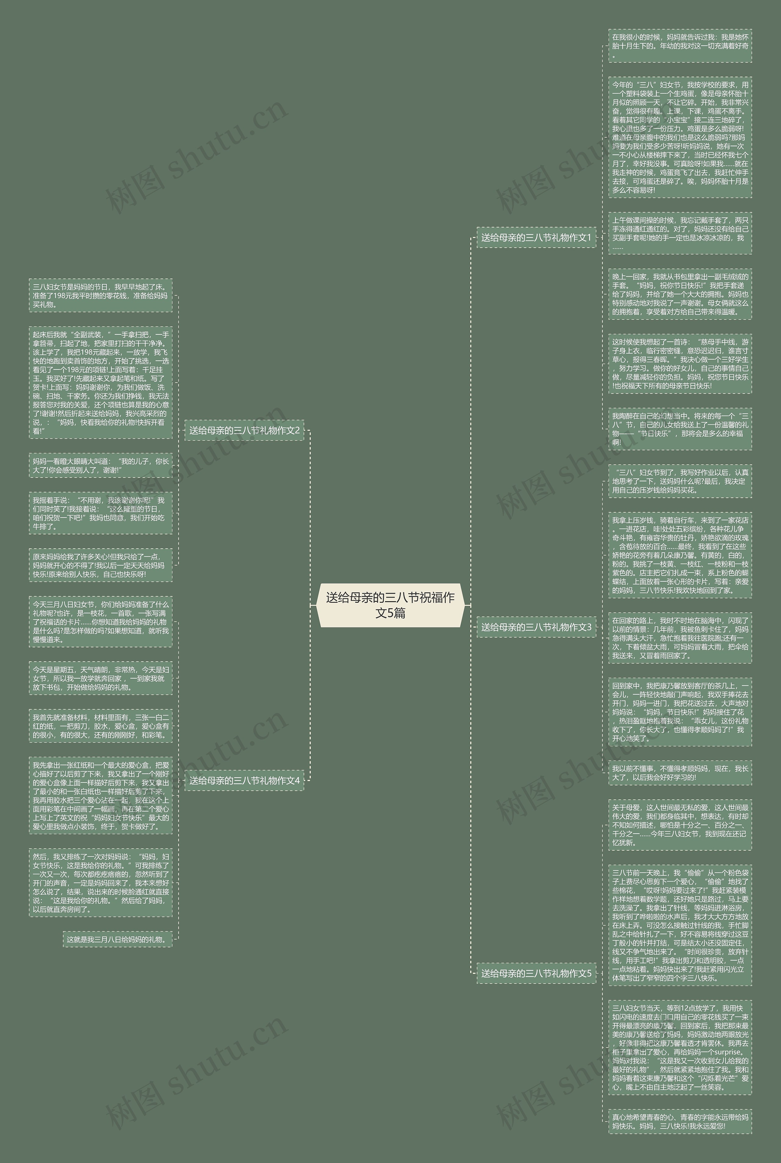 送给母亲的三八节祝福作文5篇思维导图