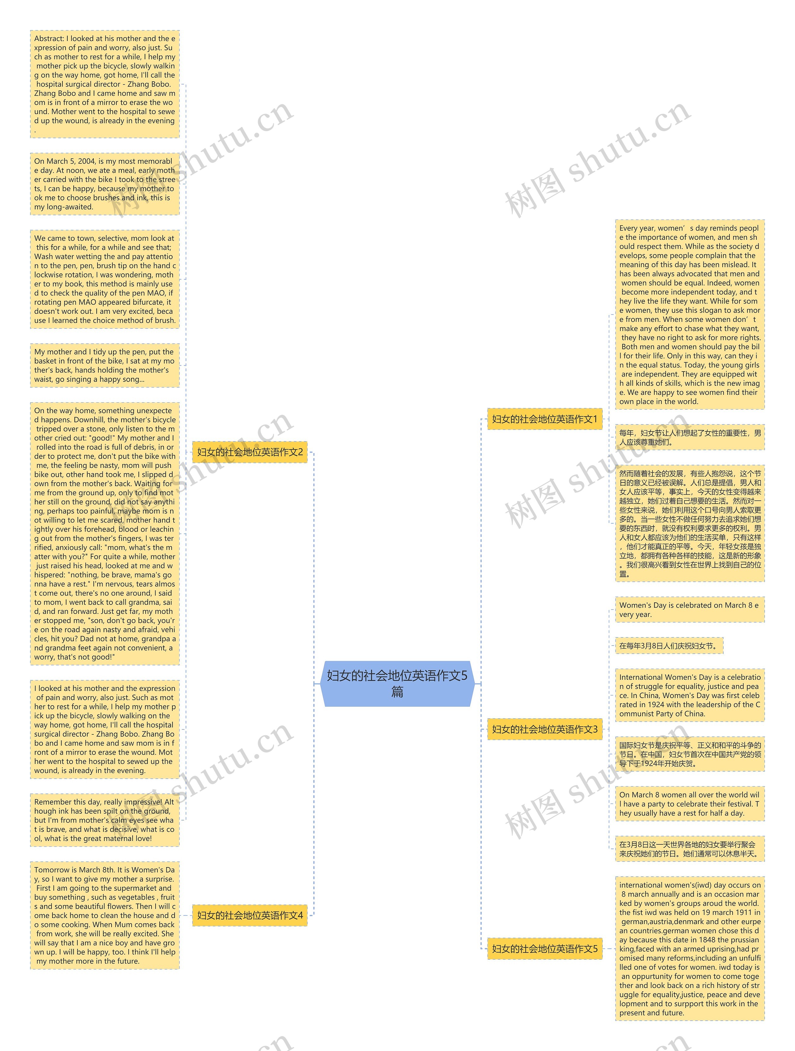 妇女的社会地位英语作文5篇思维导图