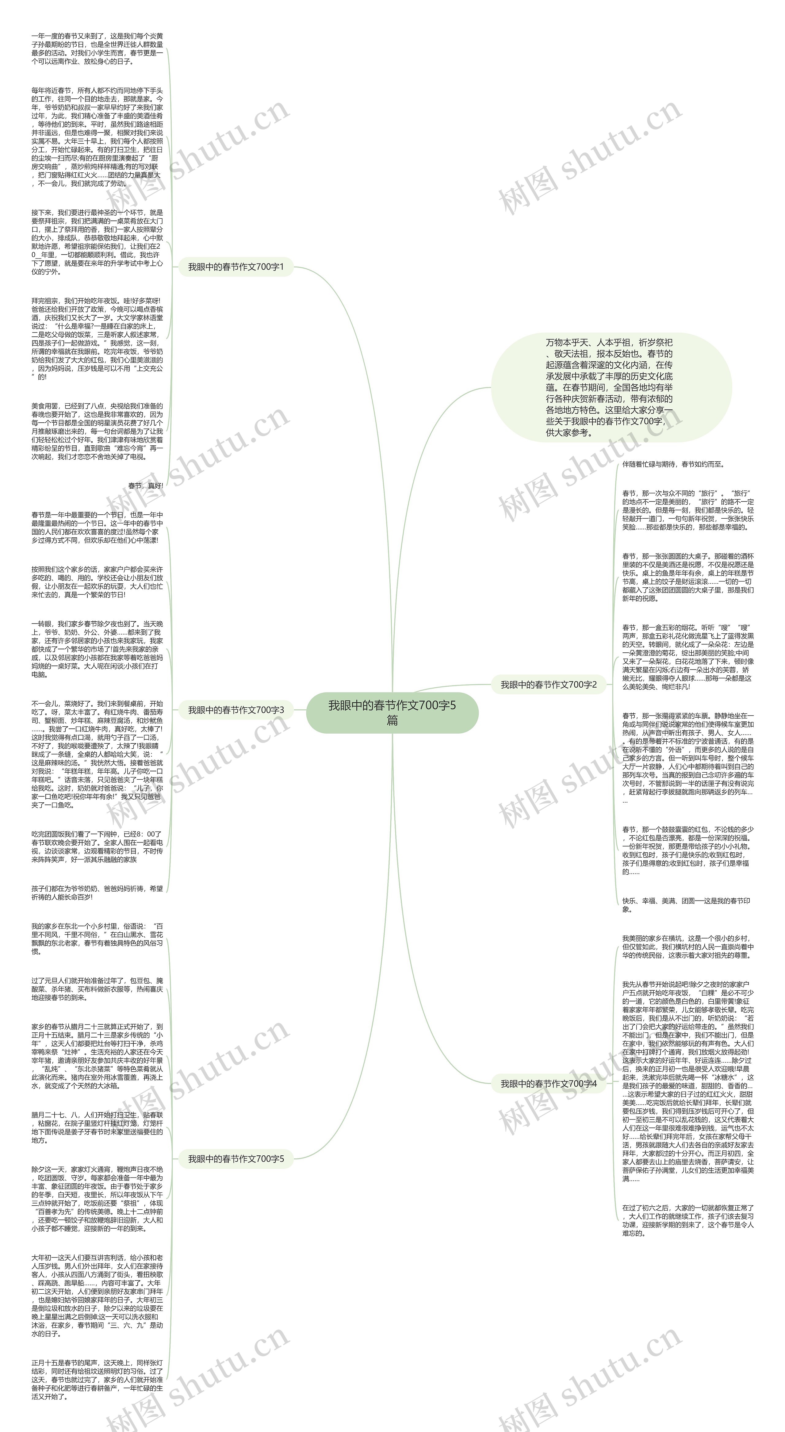 我眼中的春节作文700字5篇思维导图