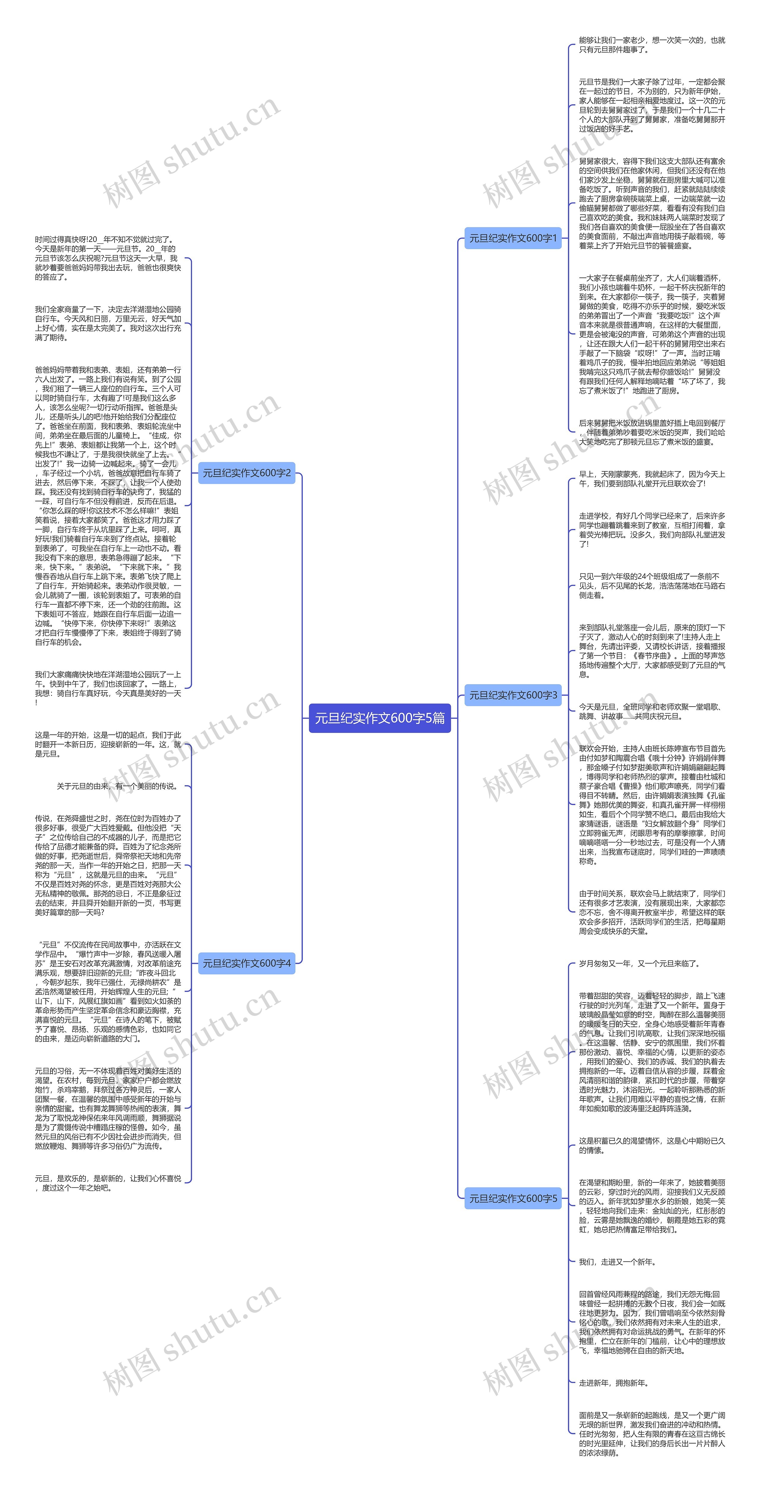 元旦纪实作文600字5篇思维导图