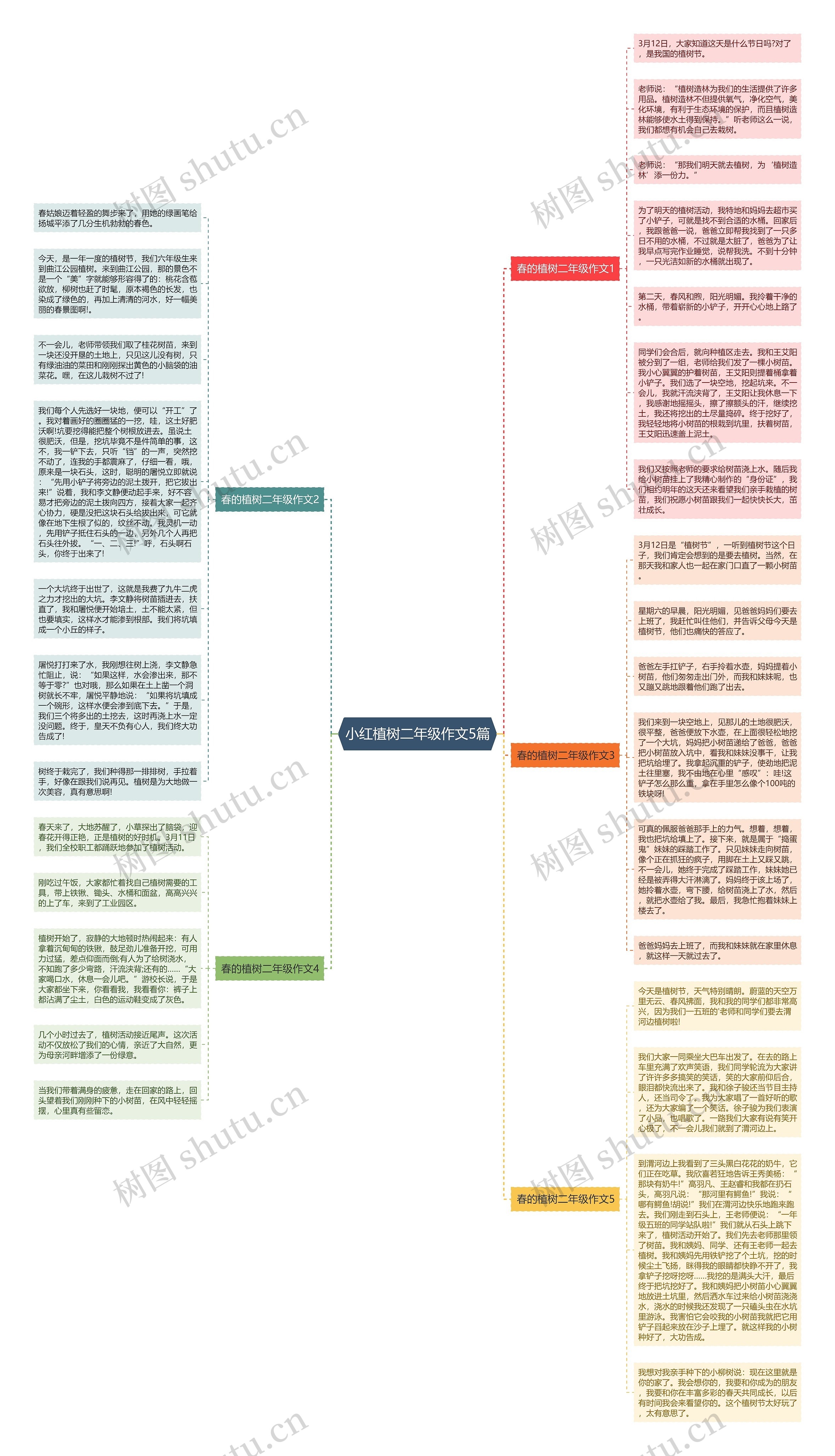 小红植树二年级作文5篇思维导图