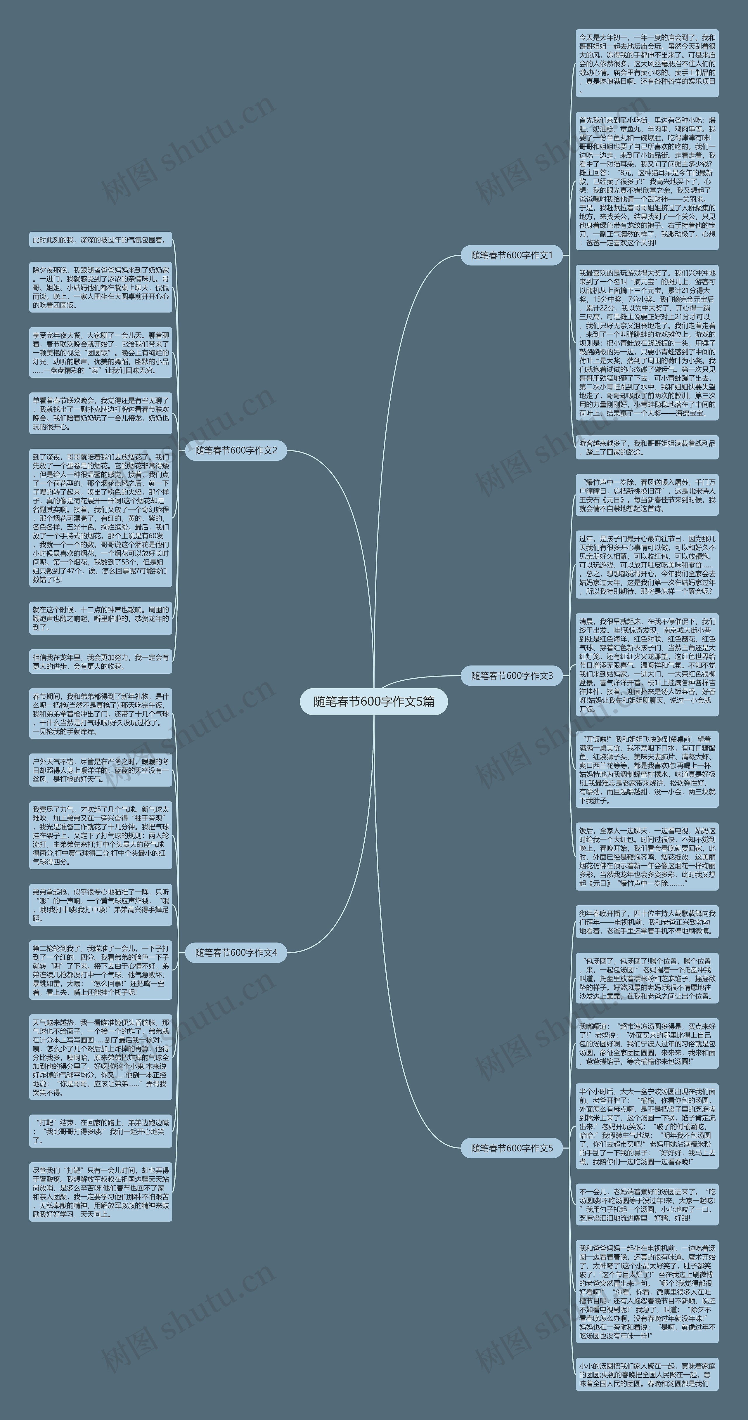 随笔春节600字作文5篇思维导图