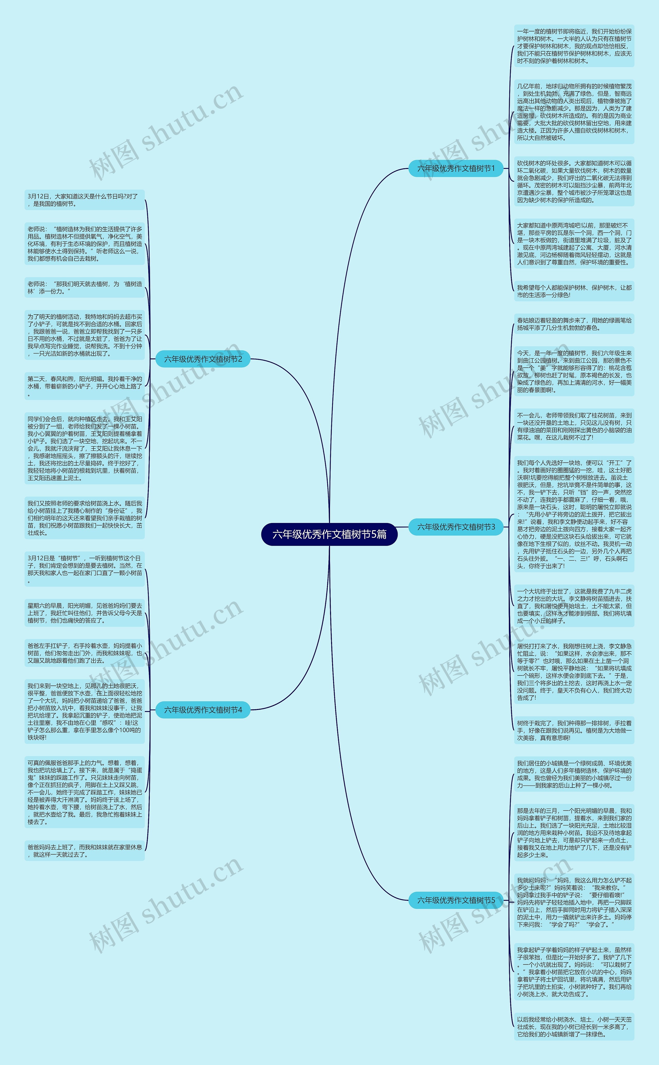 六年级优秀作文植树节5篇思维导图