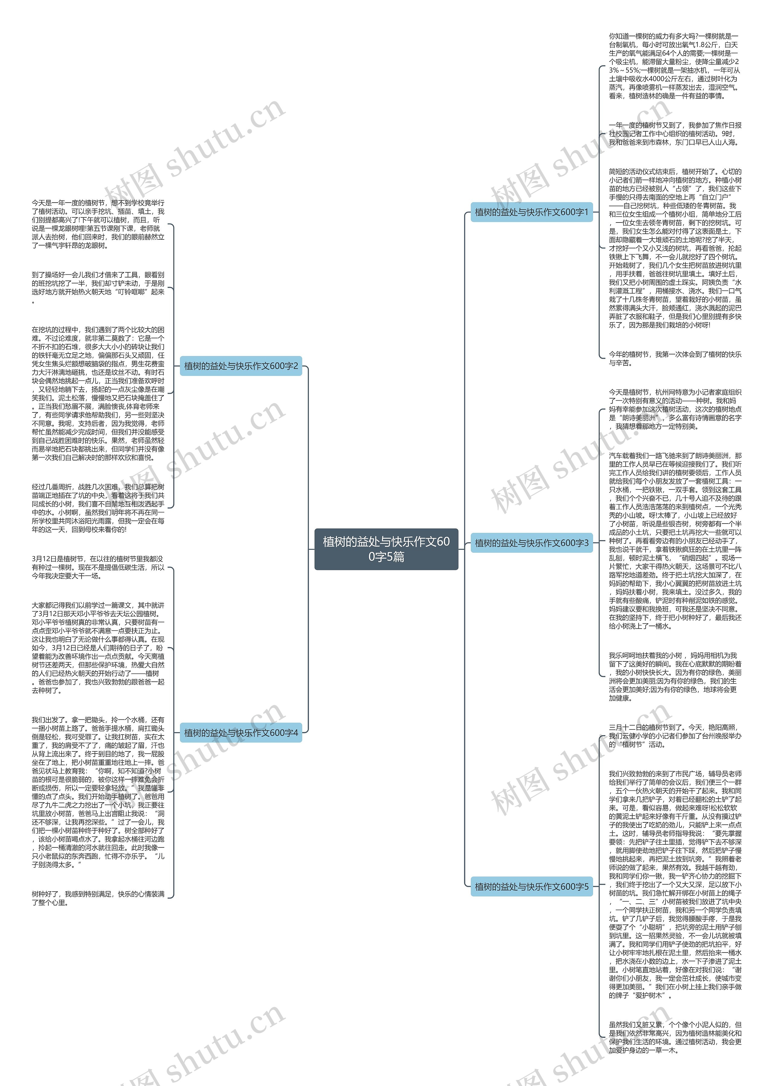 植树的益处与快乐作文600字5篇思维导图