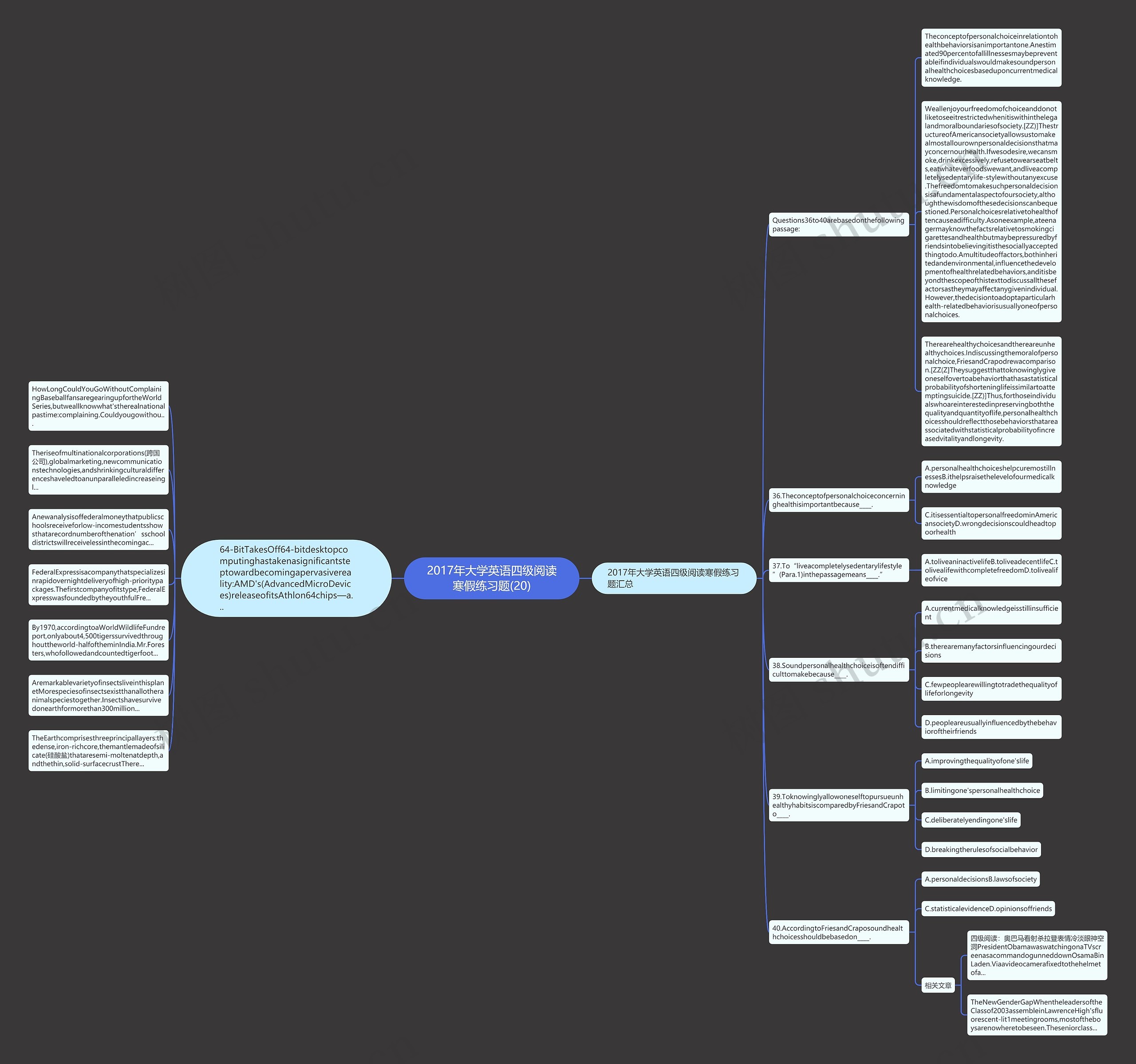 2017年大学英语四级阅读寒假练习题(20)思维导图
