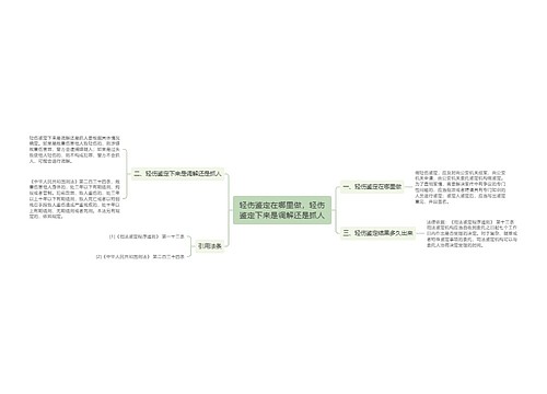 轻伤鉴定在哪里做，轻伤鉴定下来是调解还是抓人