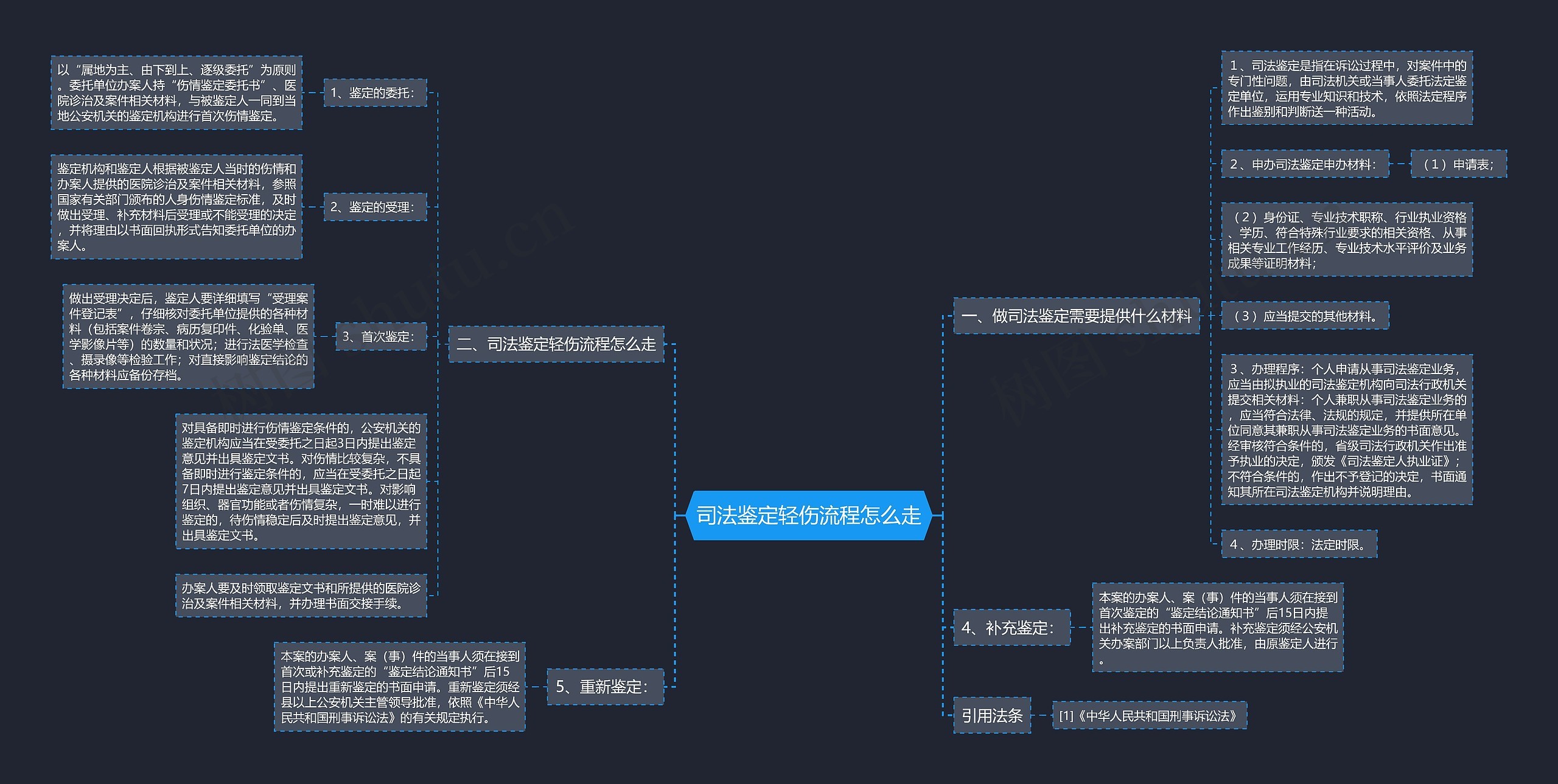 司法鉴定轻伤流程怎么走思维导图