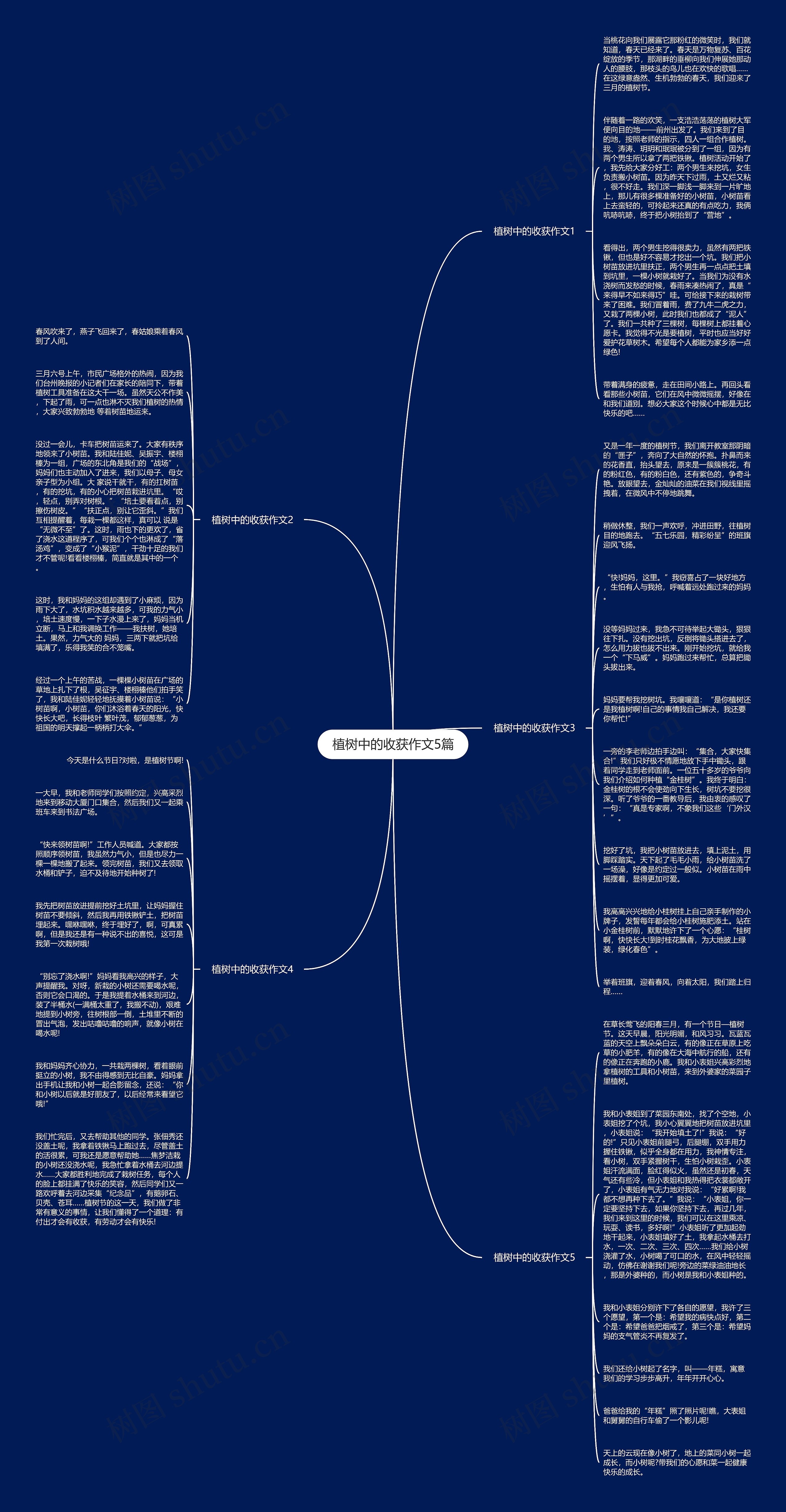 植树中的收获作文5篇思维导图
