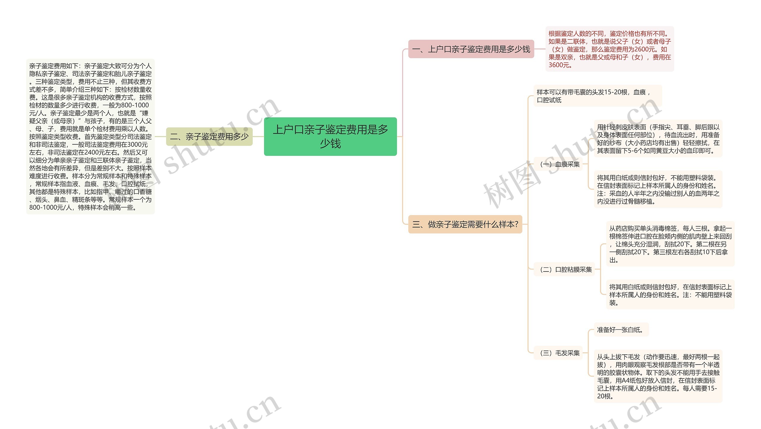 上户口亲子鉴定费用是多少钱思维导图