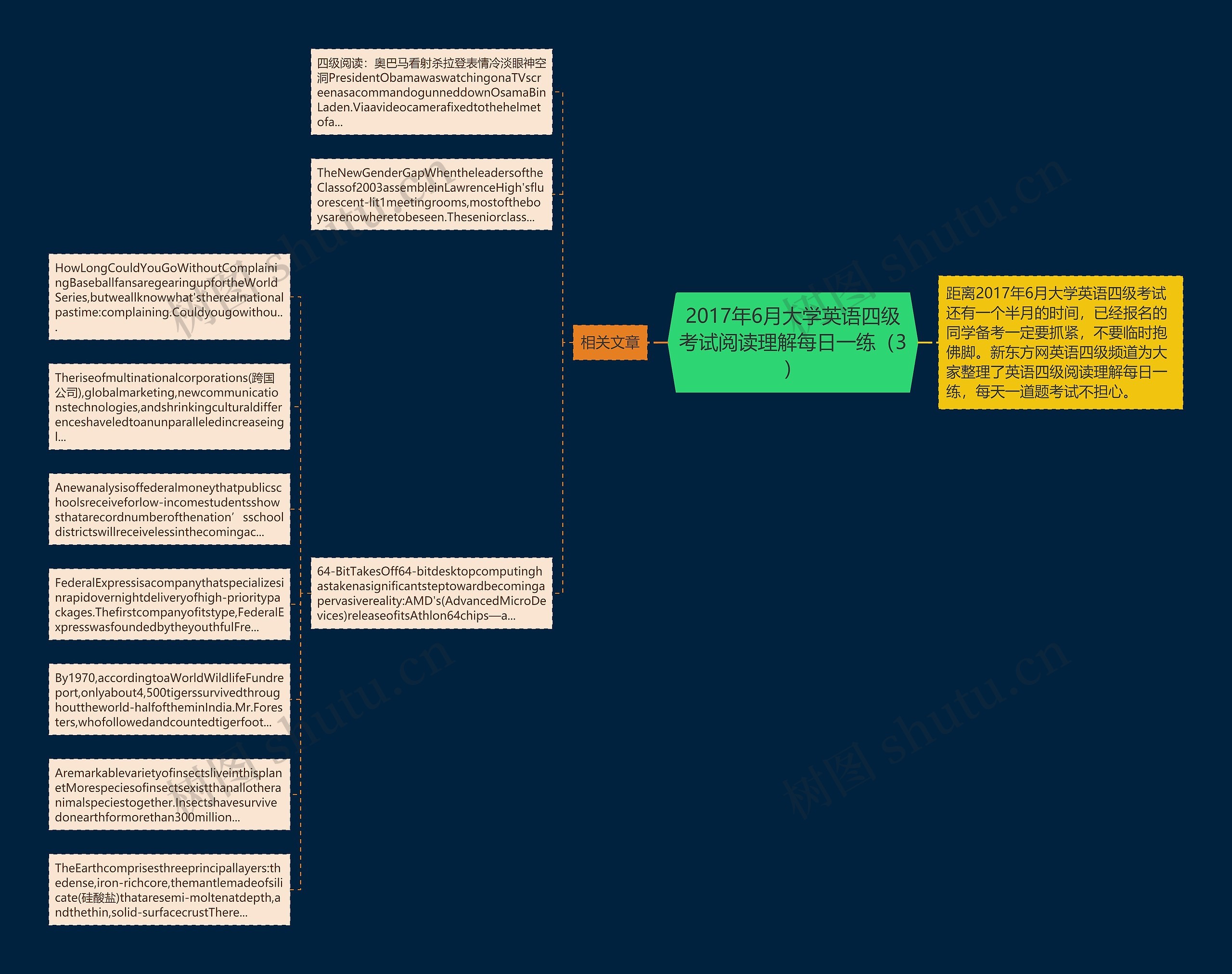 2017年6月大学英语四级考试阅读理解每日一练（3）思维导图