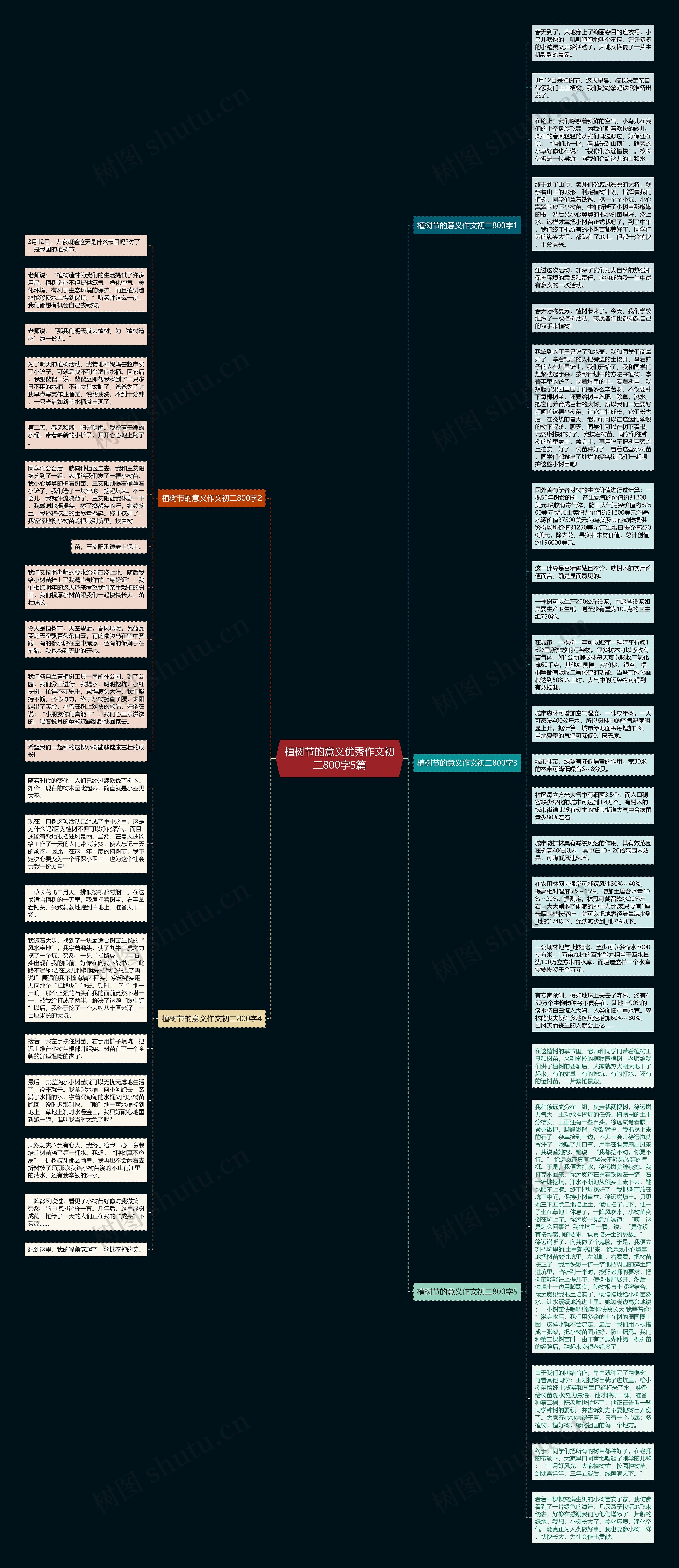植树节的意义优秀作文初二800字5篇思维导图