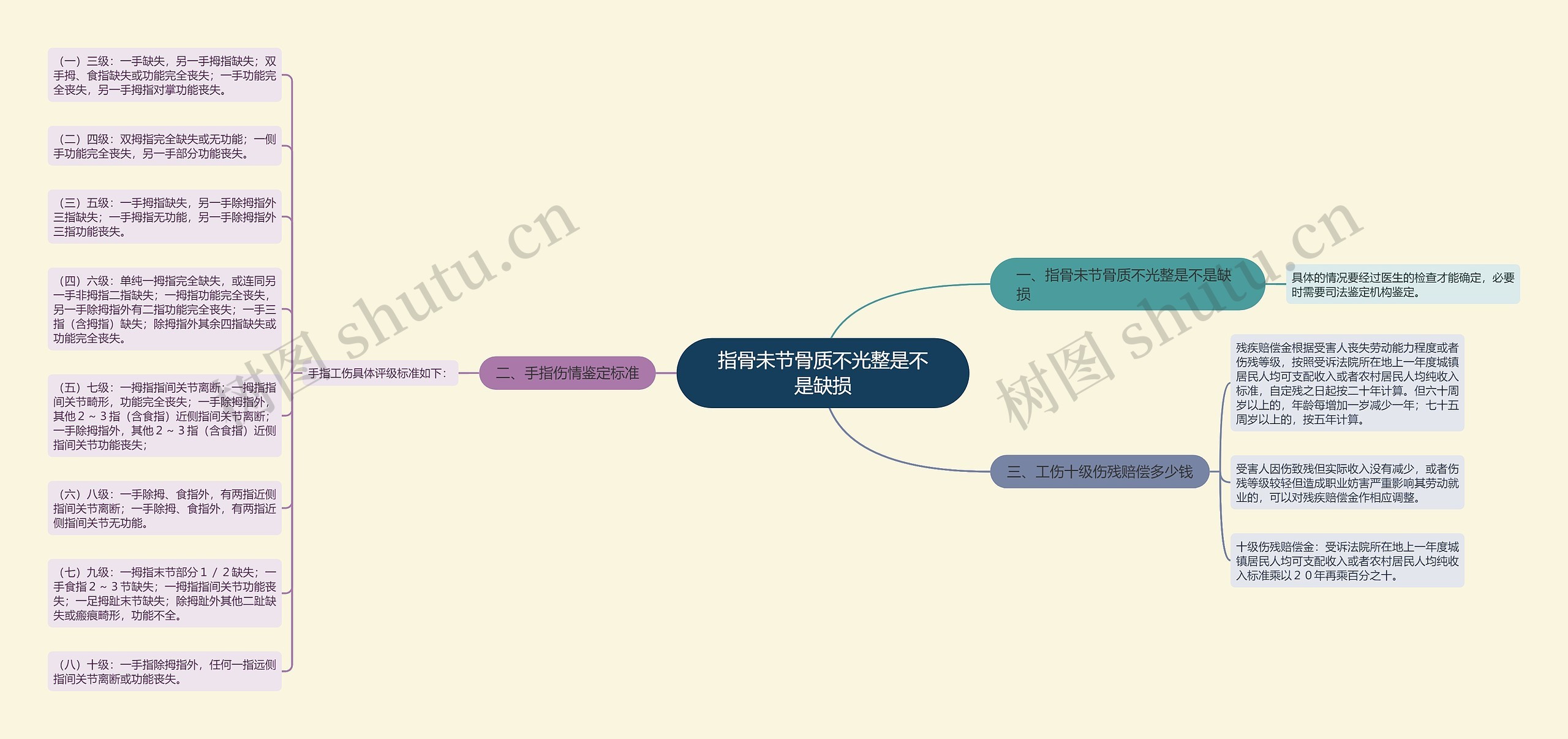 指骨未节骨质不光整是不是缺损思维导图