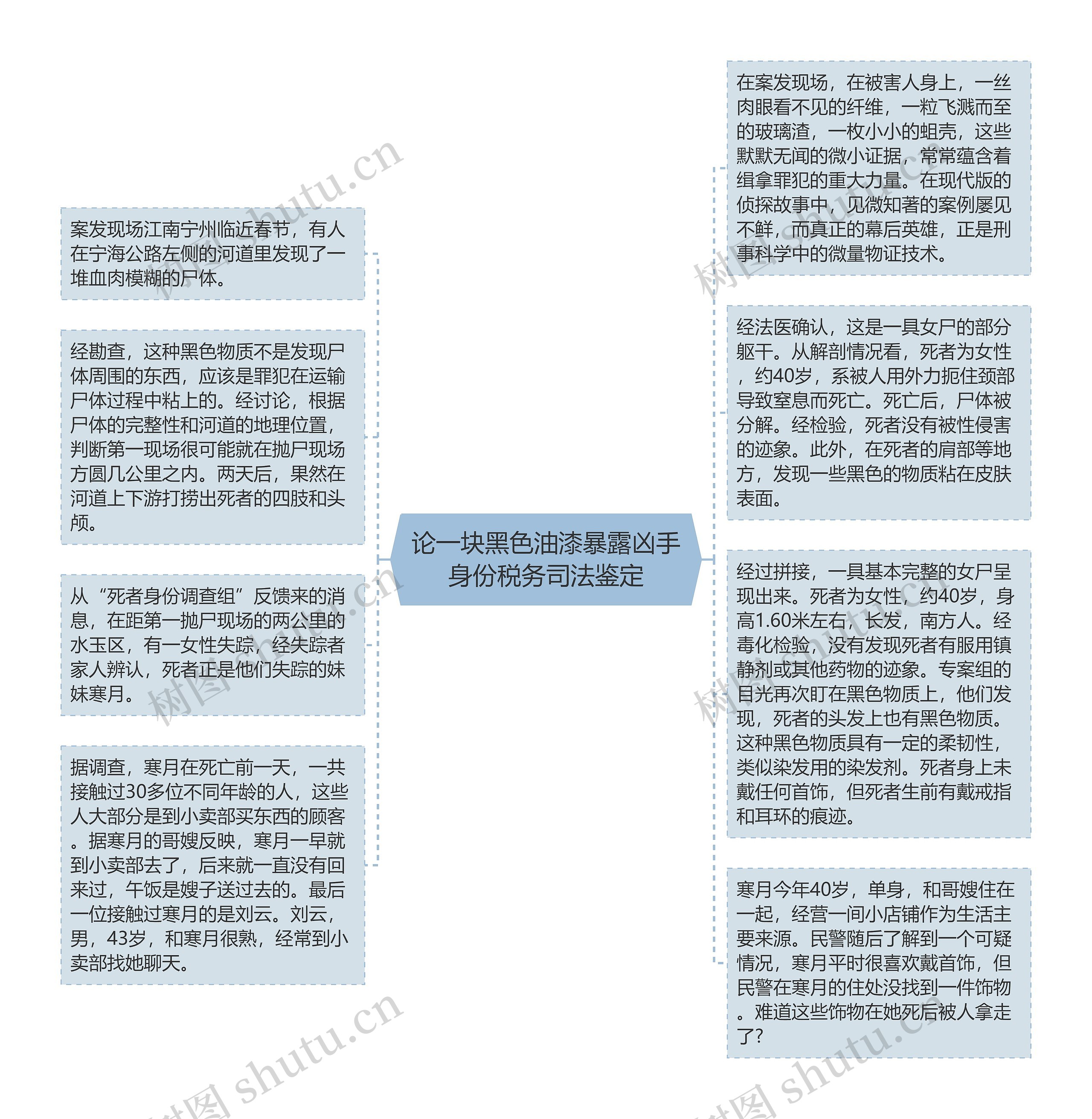 论一块黑色油漆暴露凶手身份税务司法鉴定思维导图