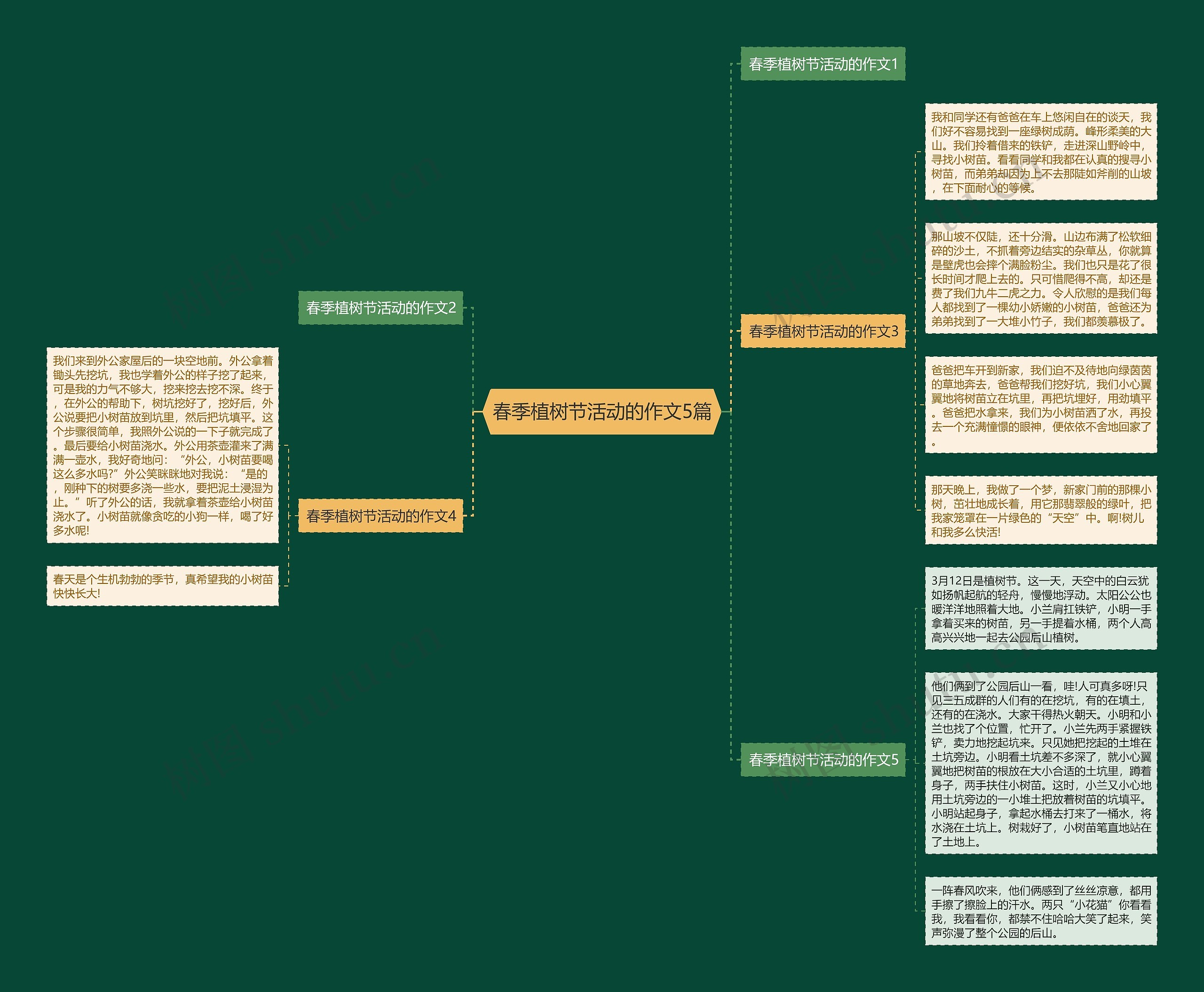春季植树节活动的作文5篇思维导图