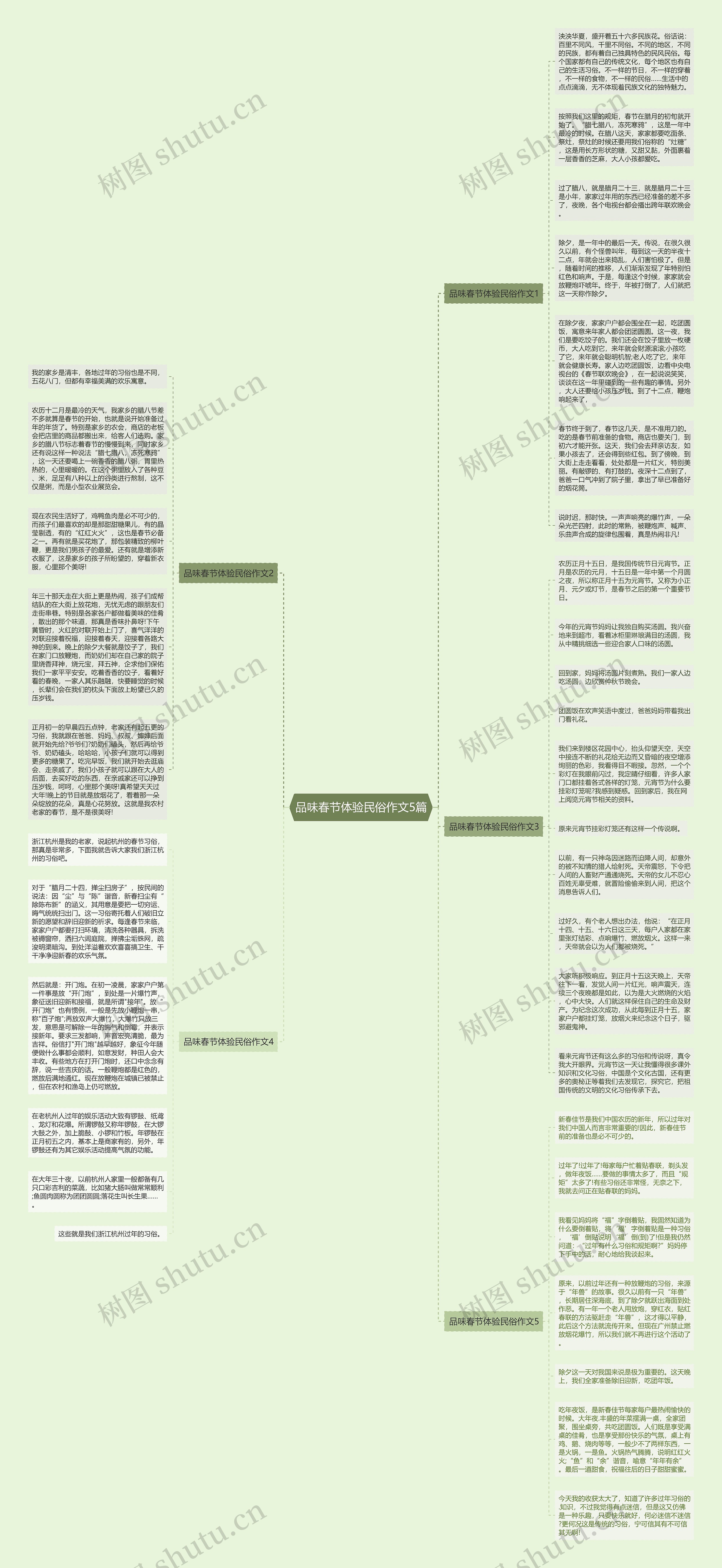 品味春节体验民俗作文5篇思维导图