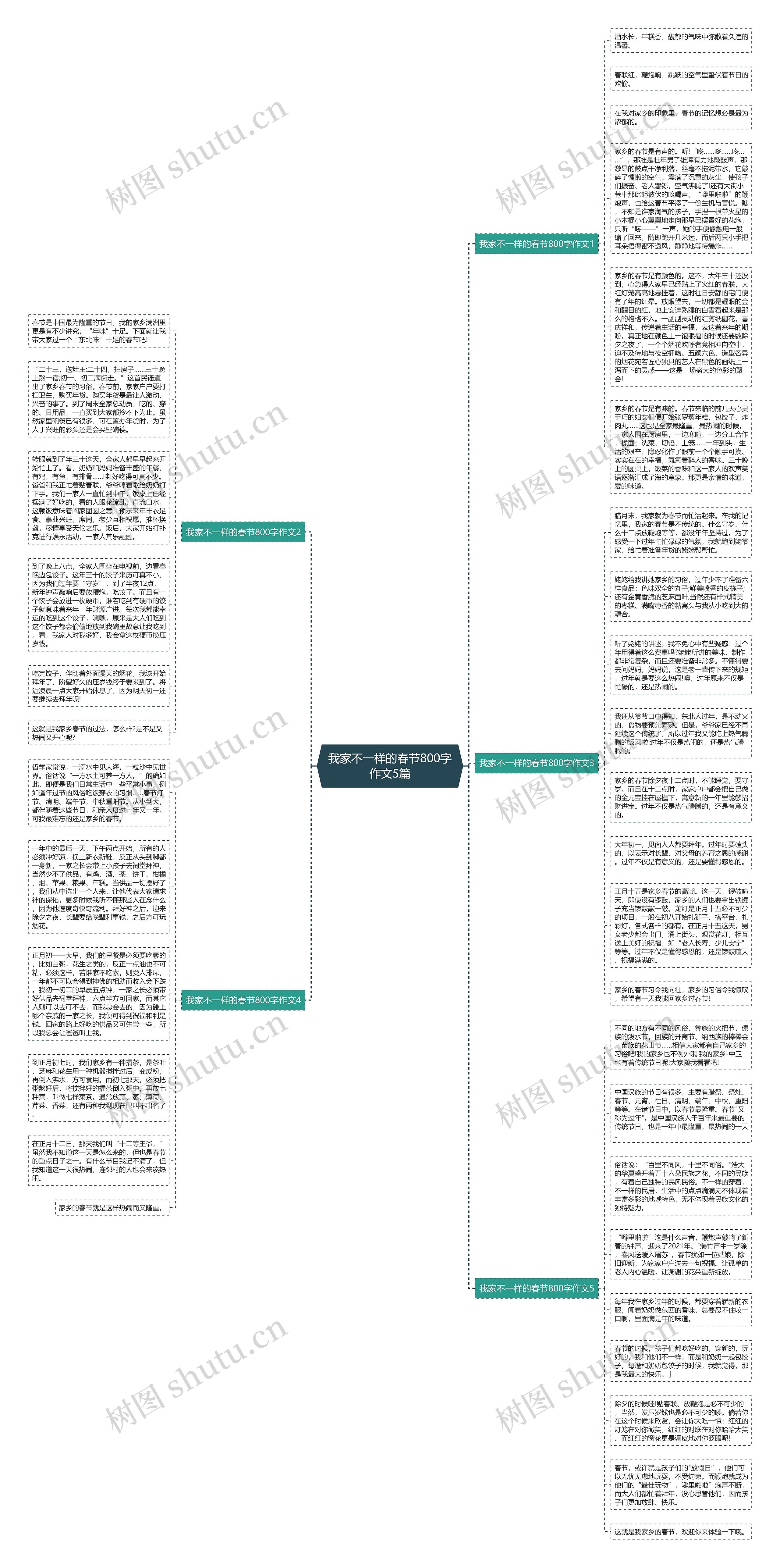 我家不一样的春节800字作文5篇思维导图