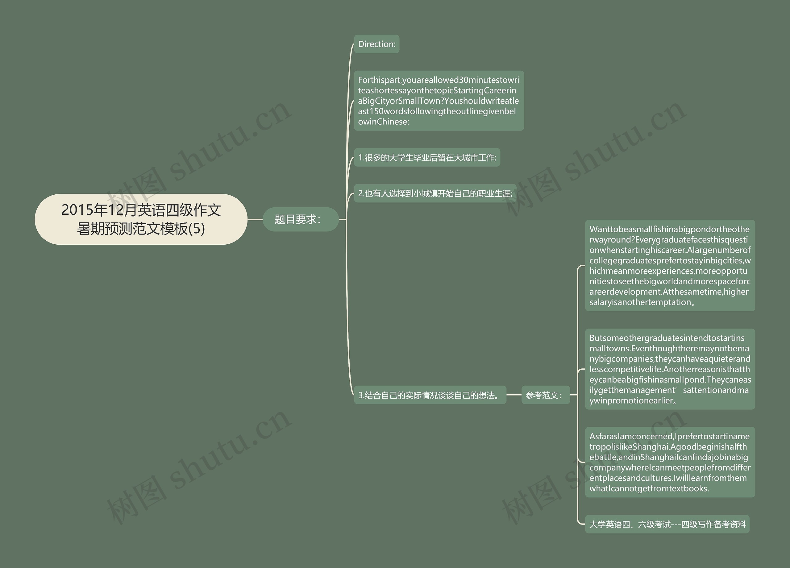 2015年12月英语四级作文暑期预测范文(5)思维导图